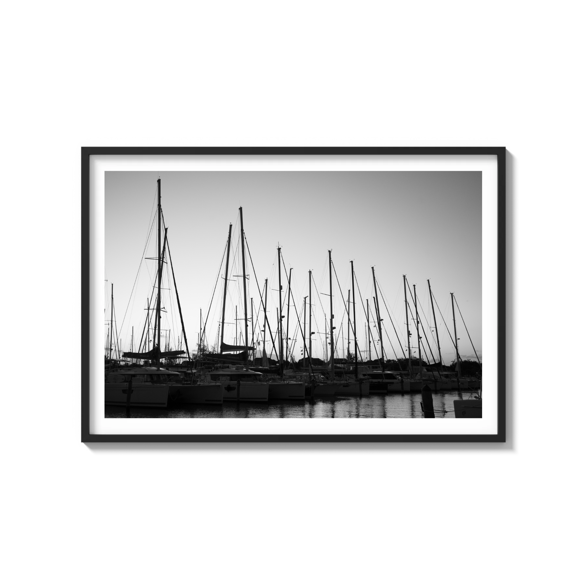 Forest of Masts