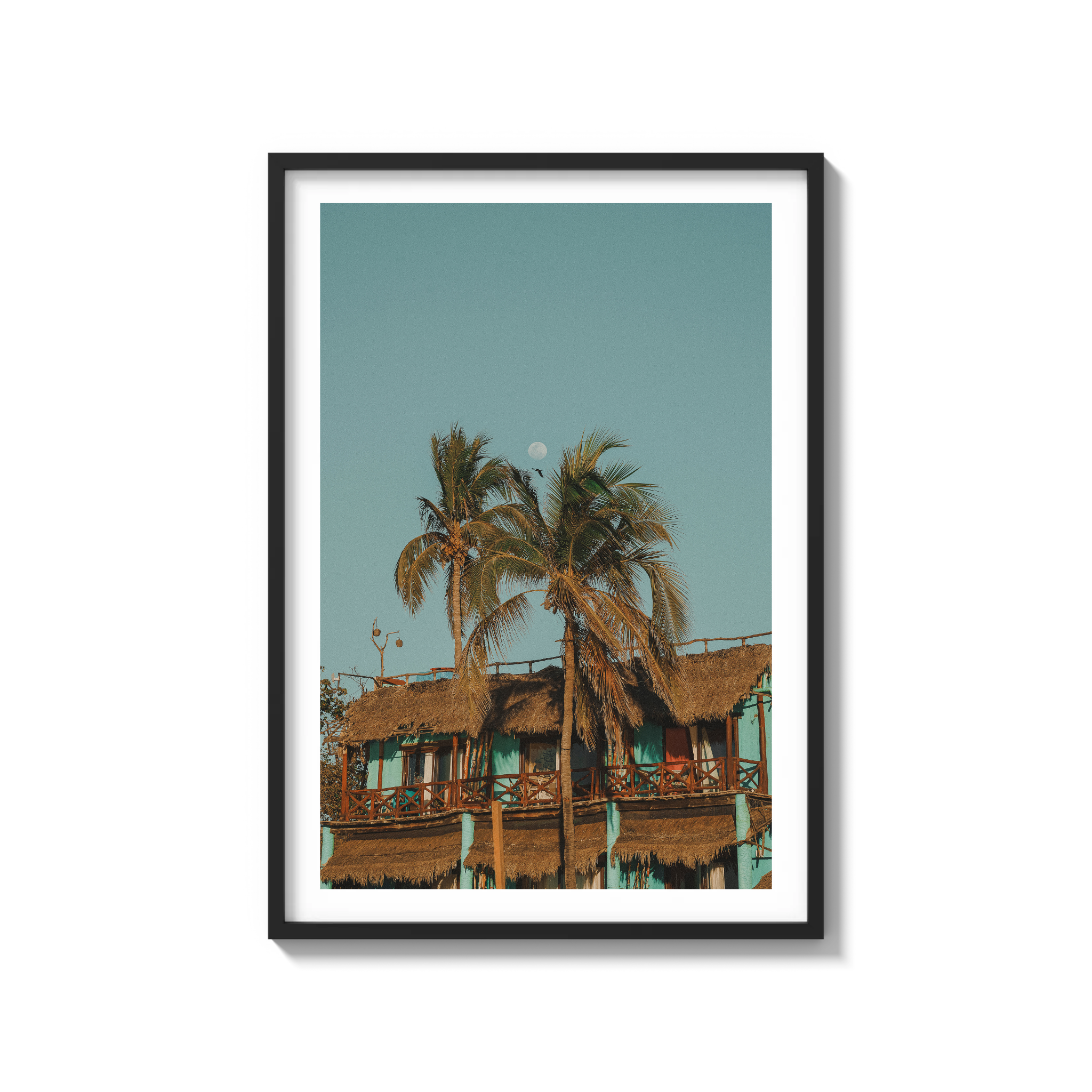 Palapa