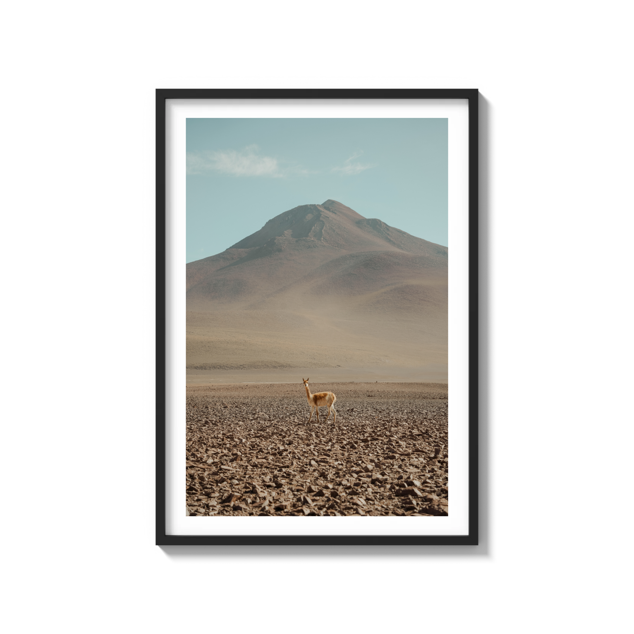 Andes