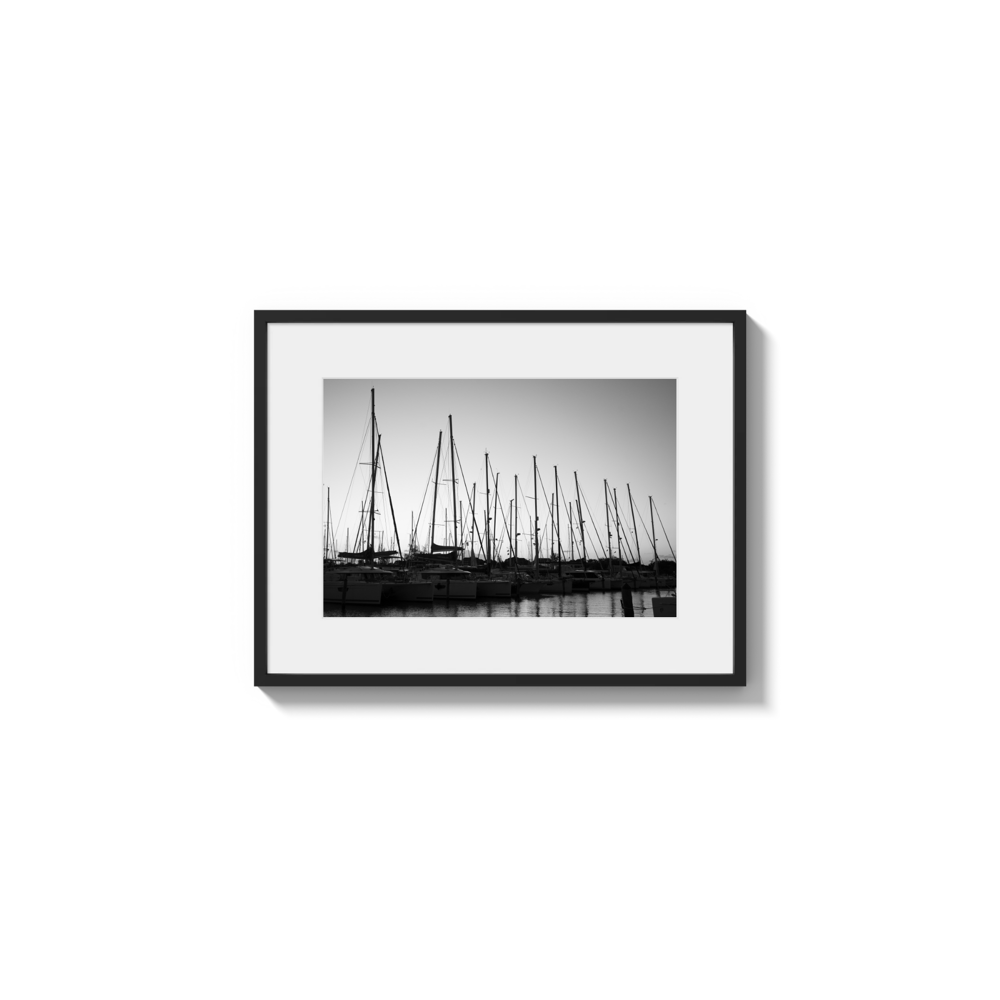 Forest of Masts