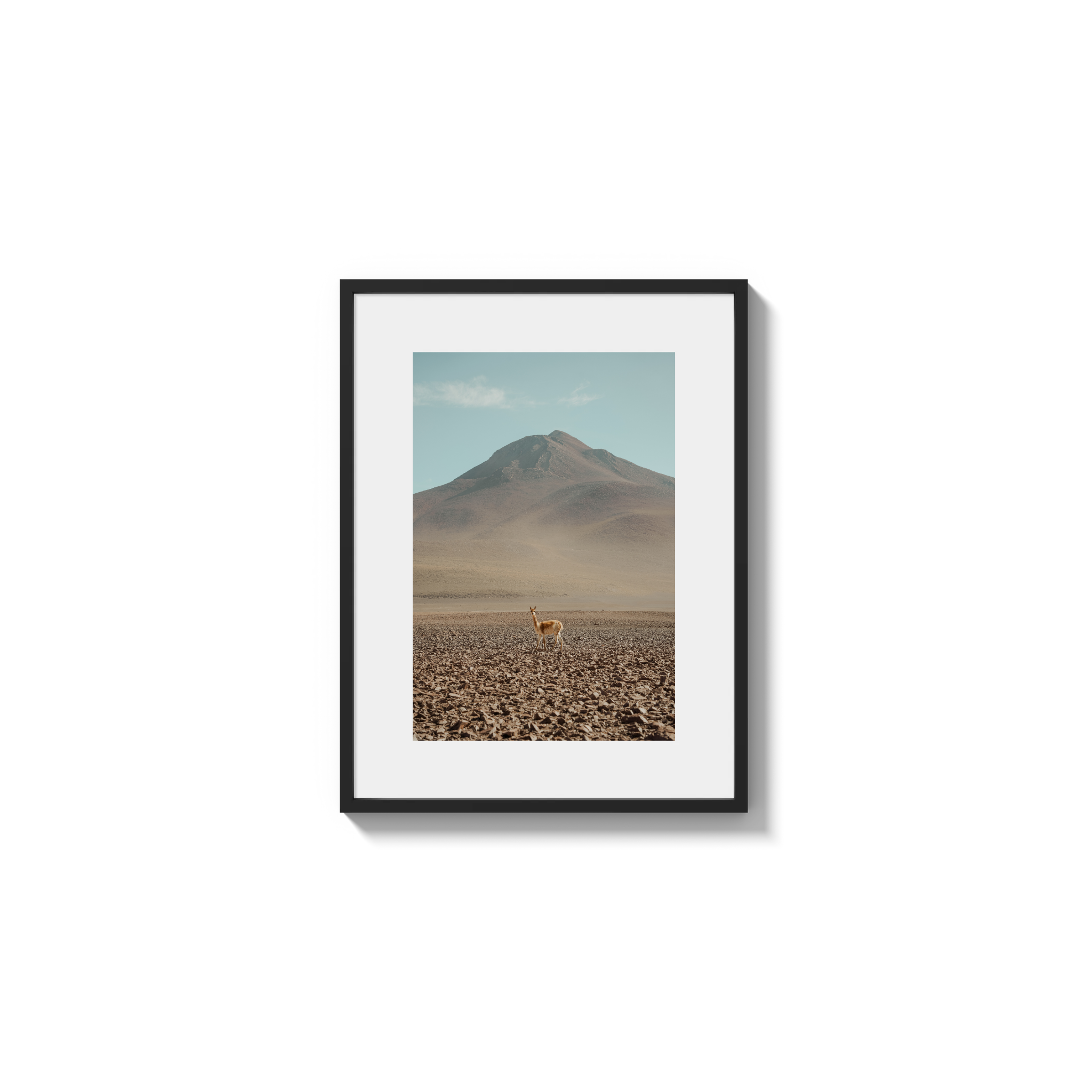 Andes