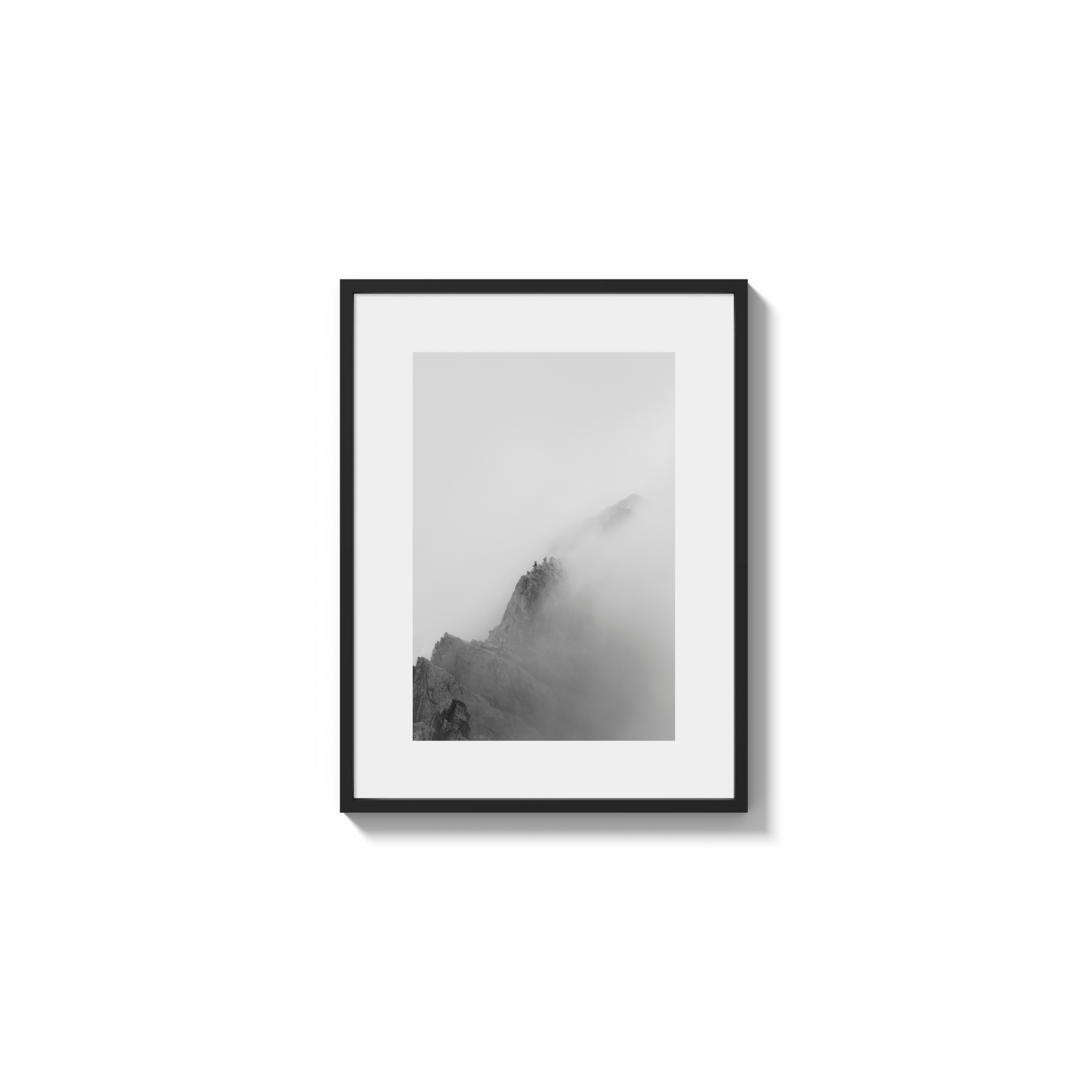 Low Viz