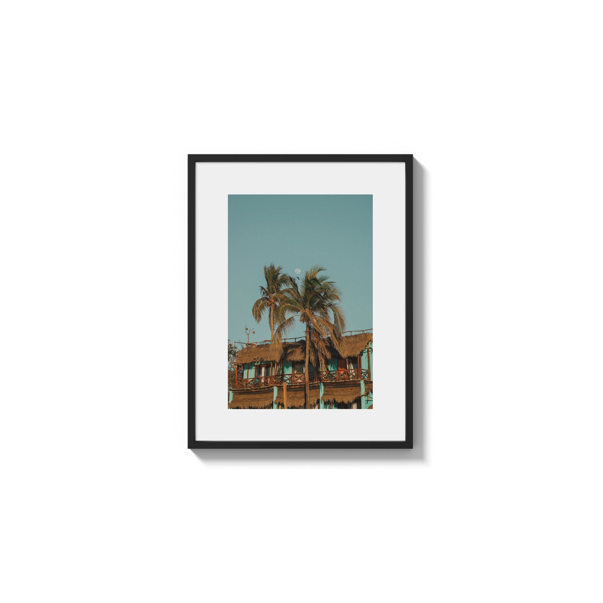 Palapa