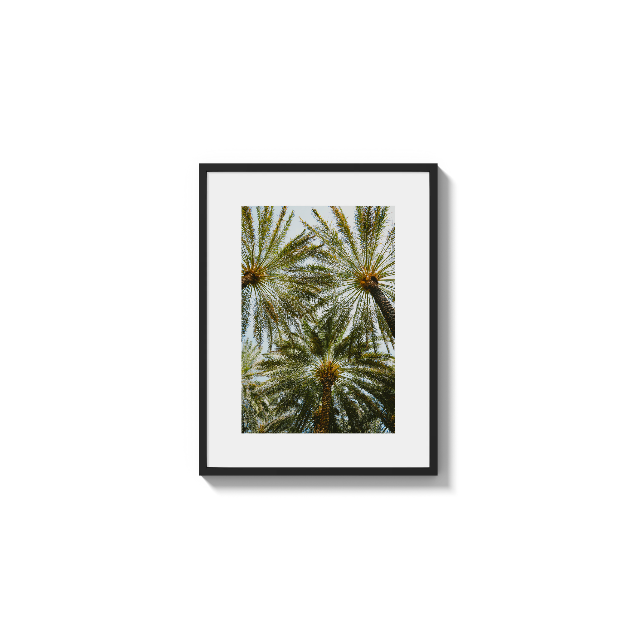 Book of Palms