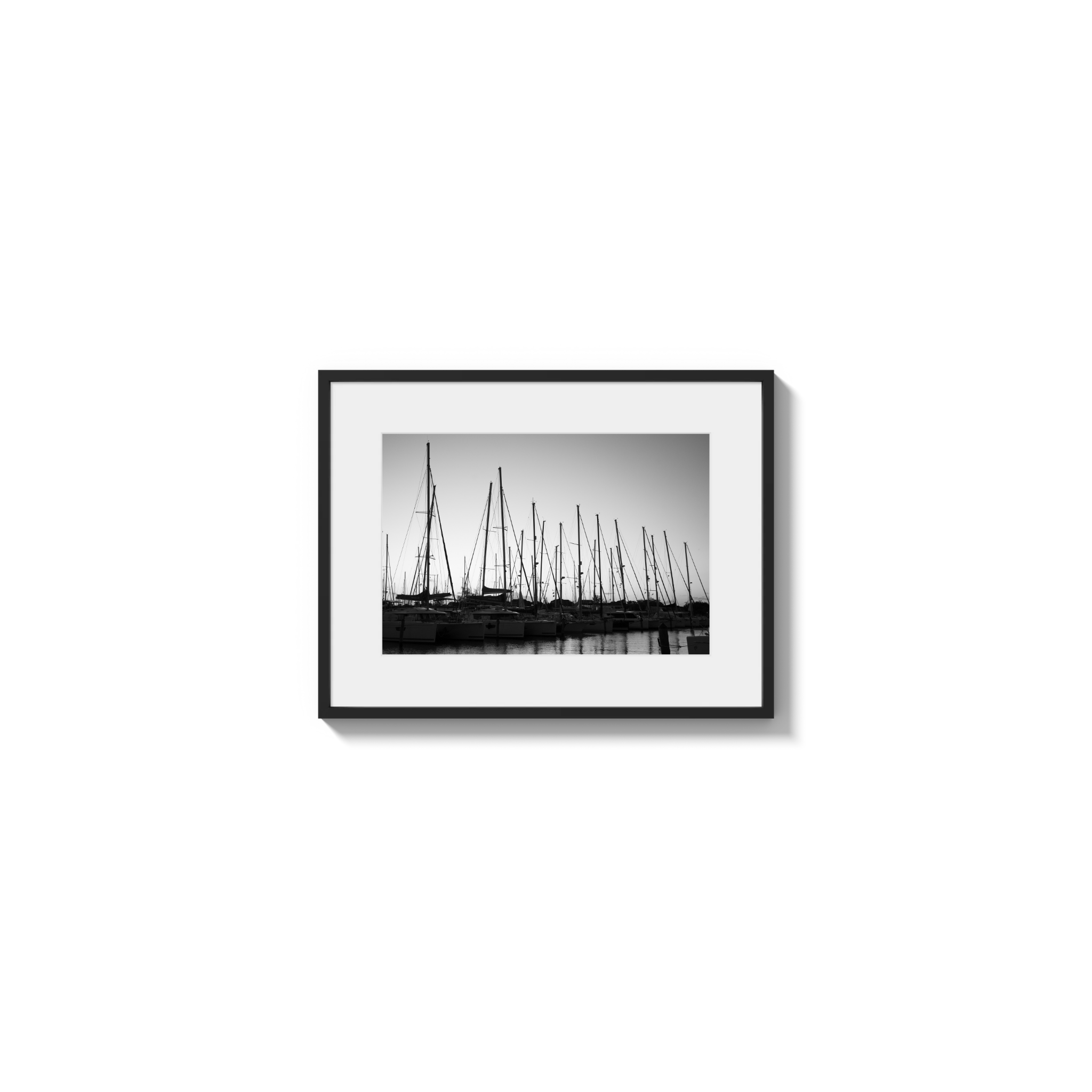 Forest of Masts