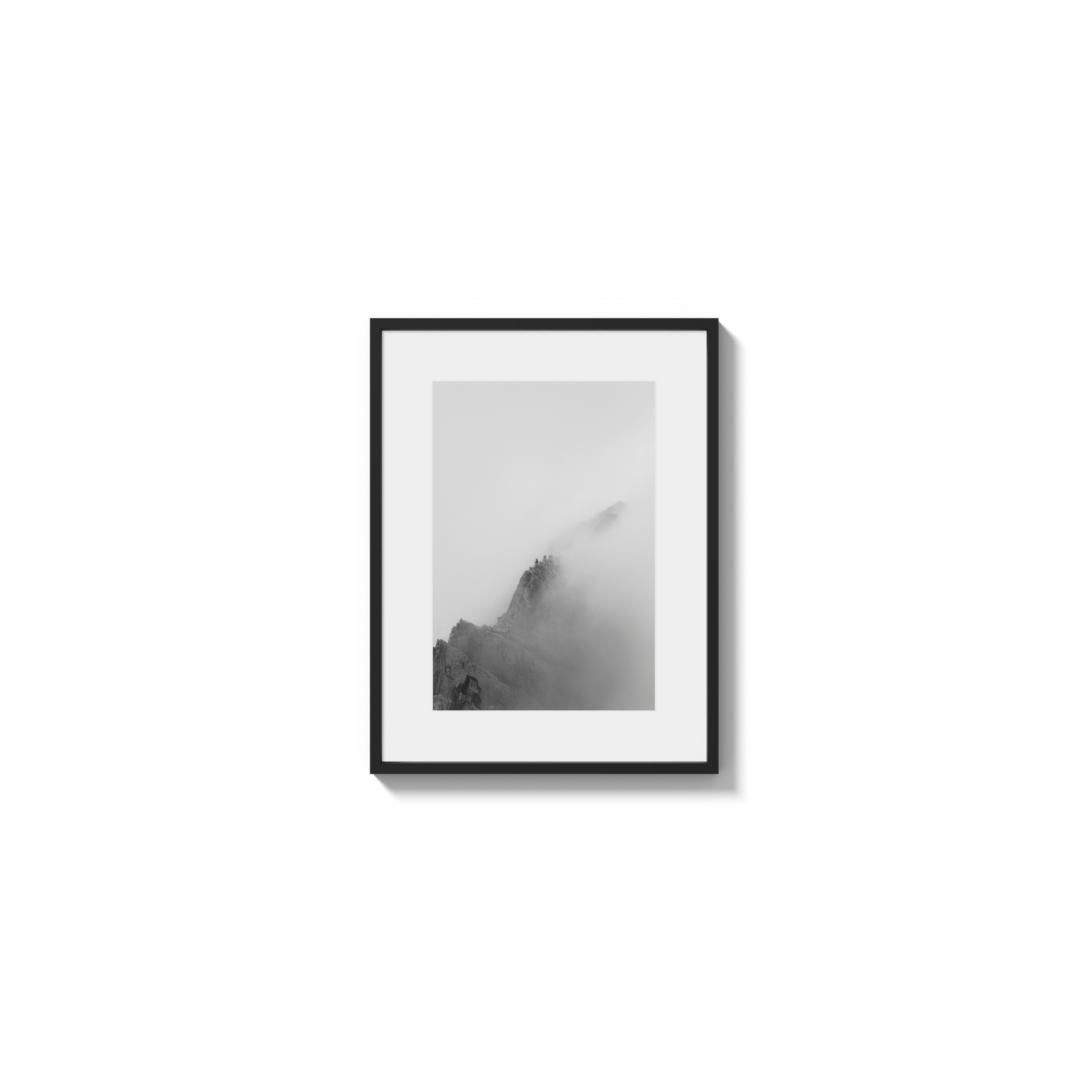 Low Viz
