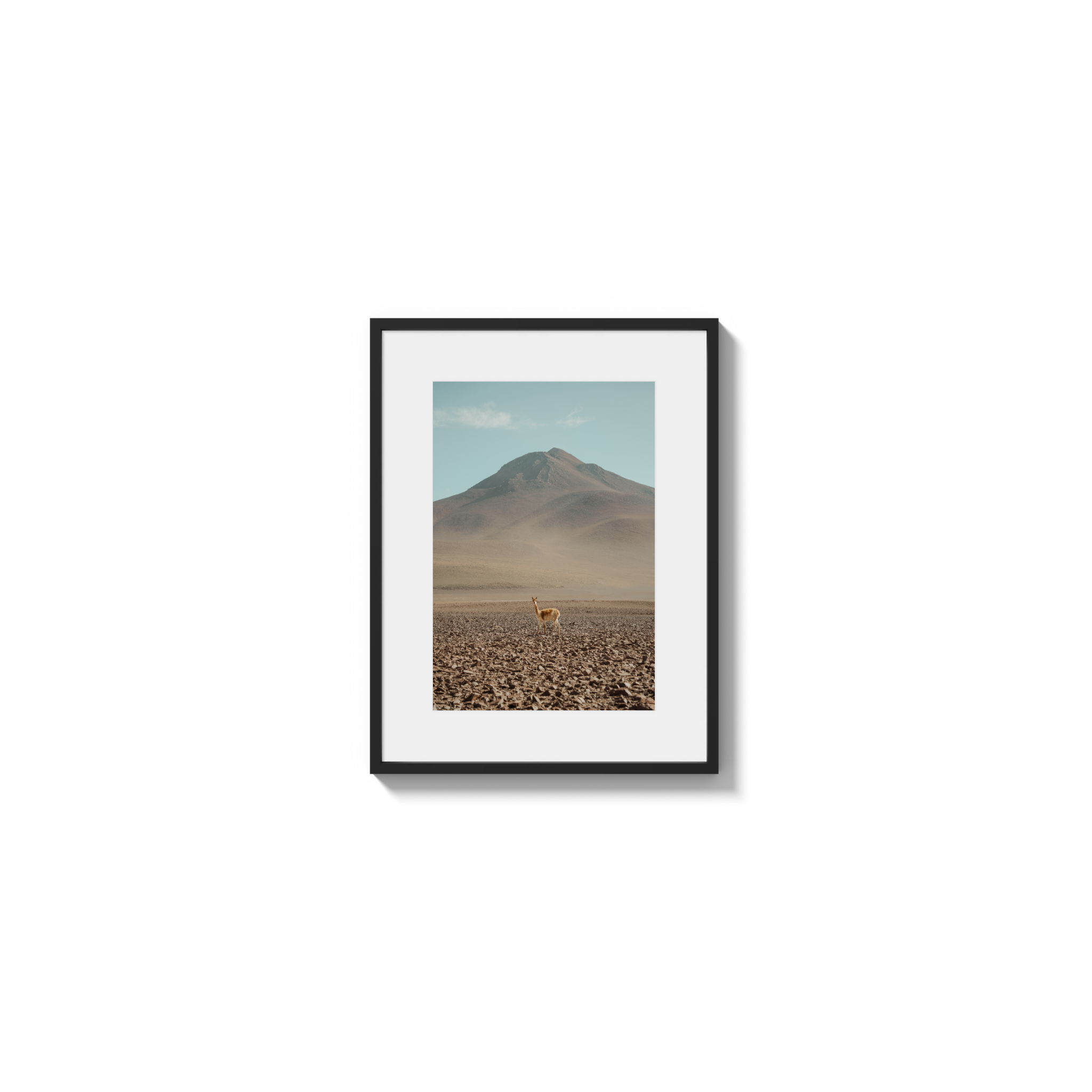 Andes