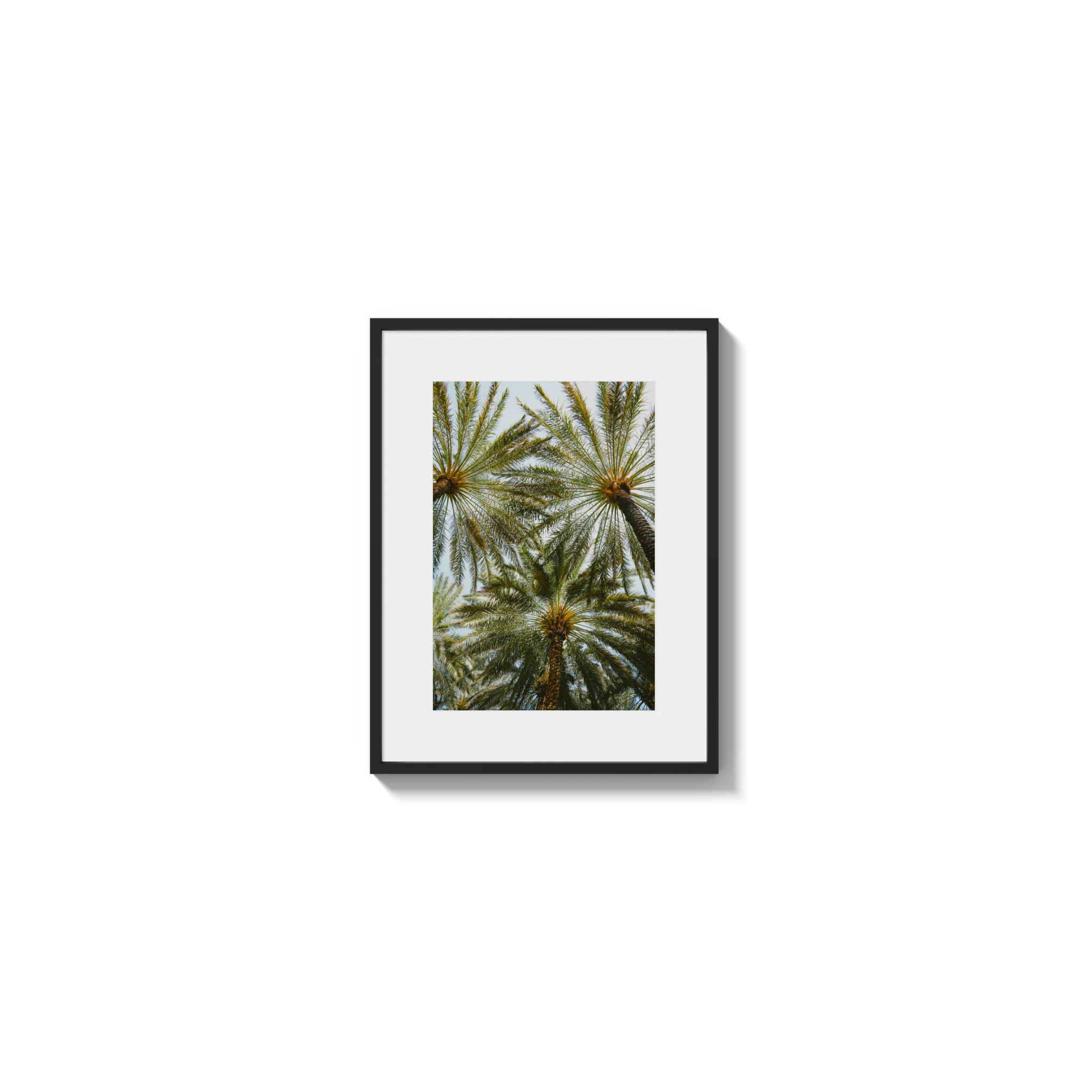 Book of Palms