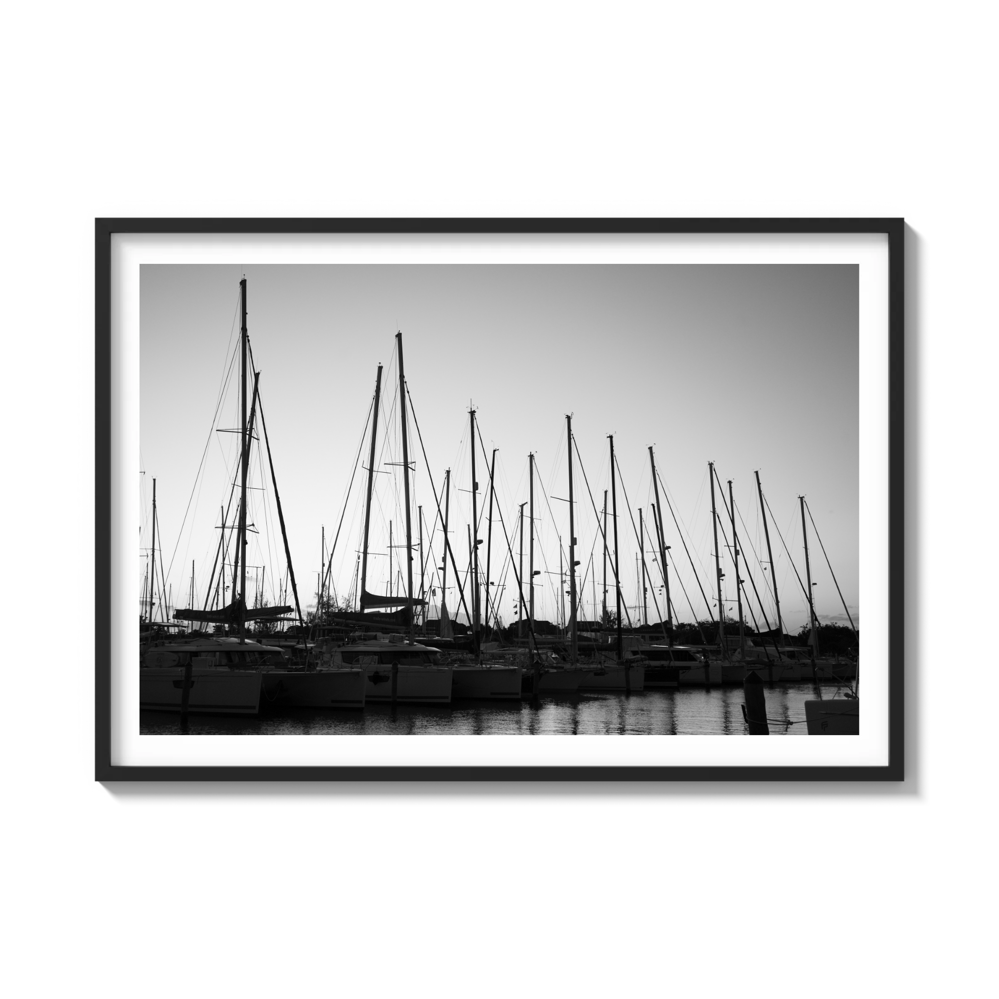 Forest of Masts