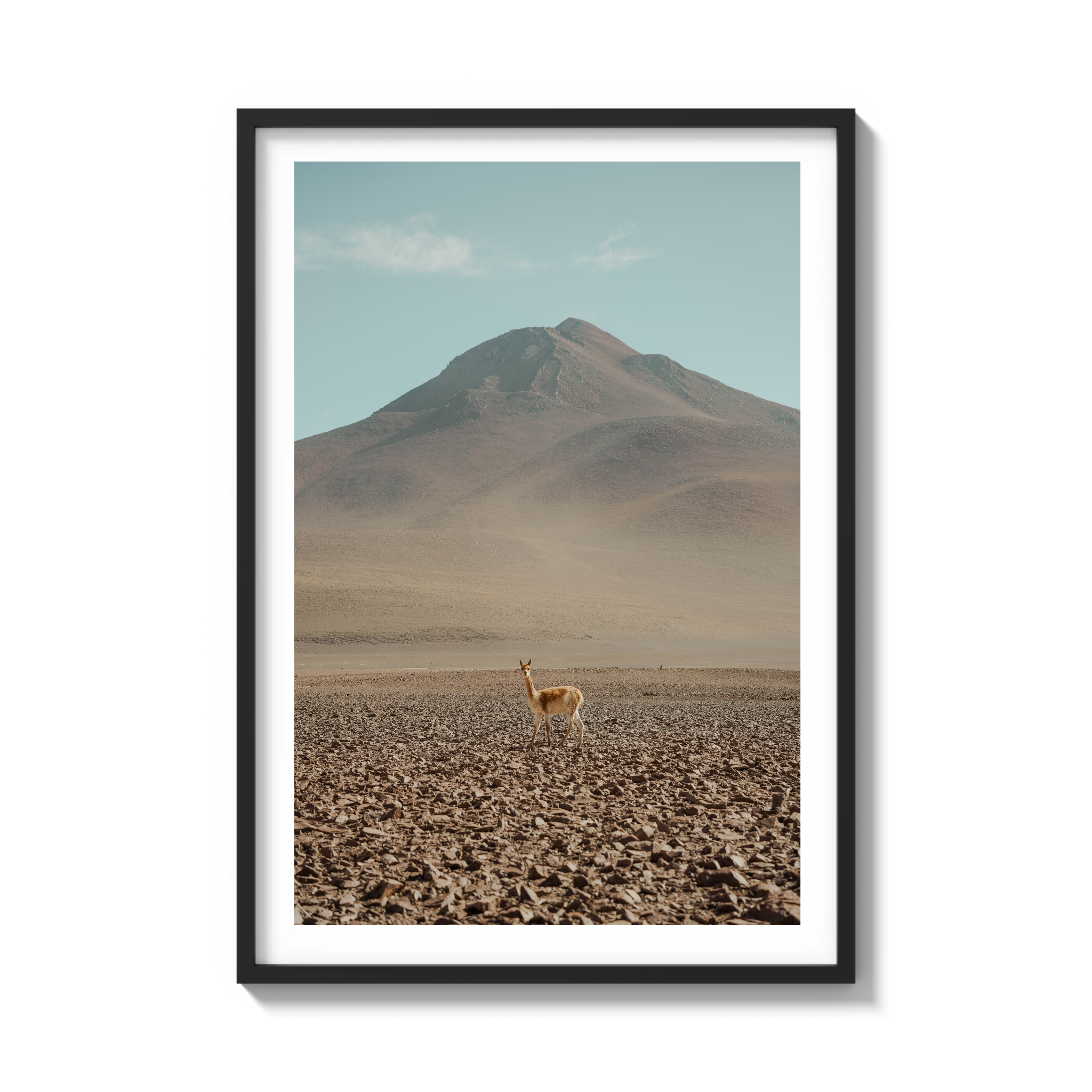Andes