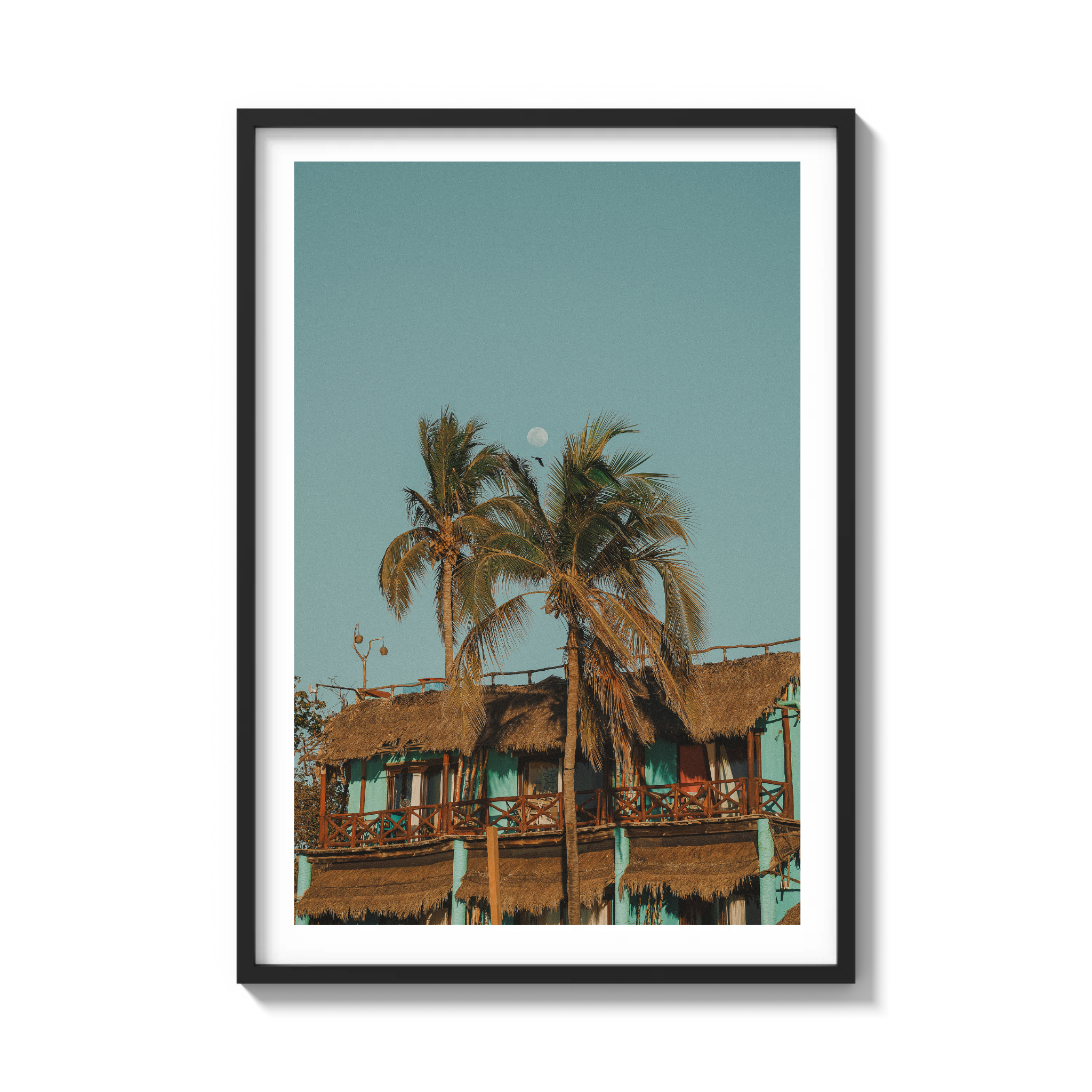 Palapa