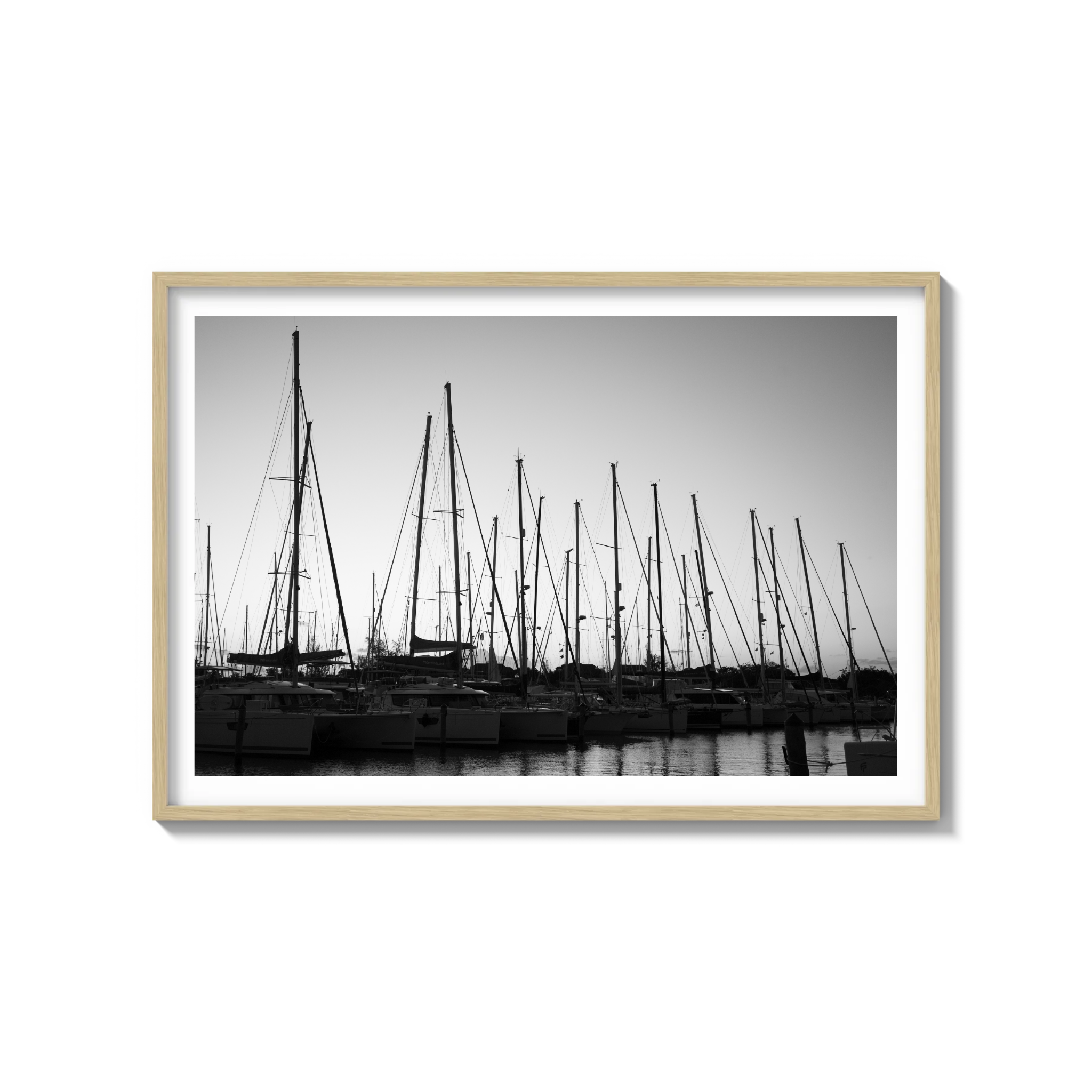 Forest of Masts