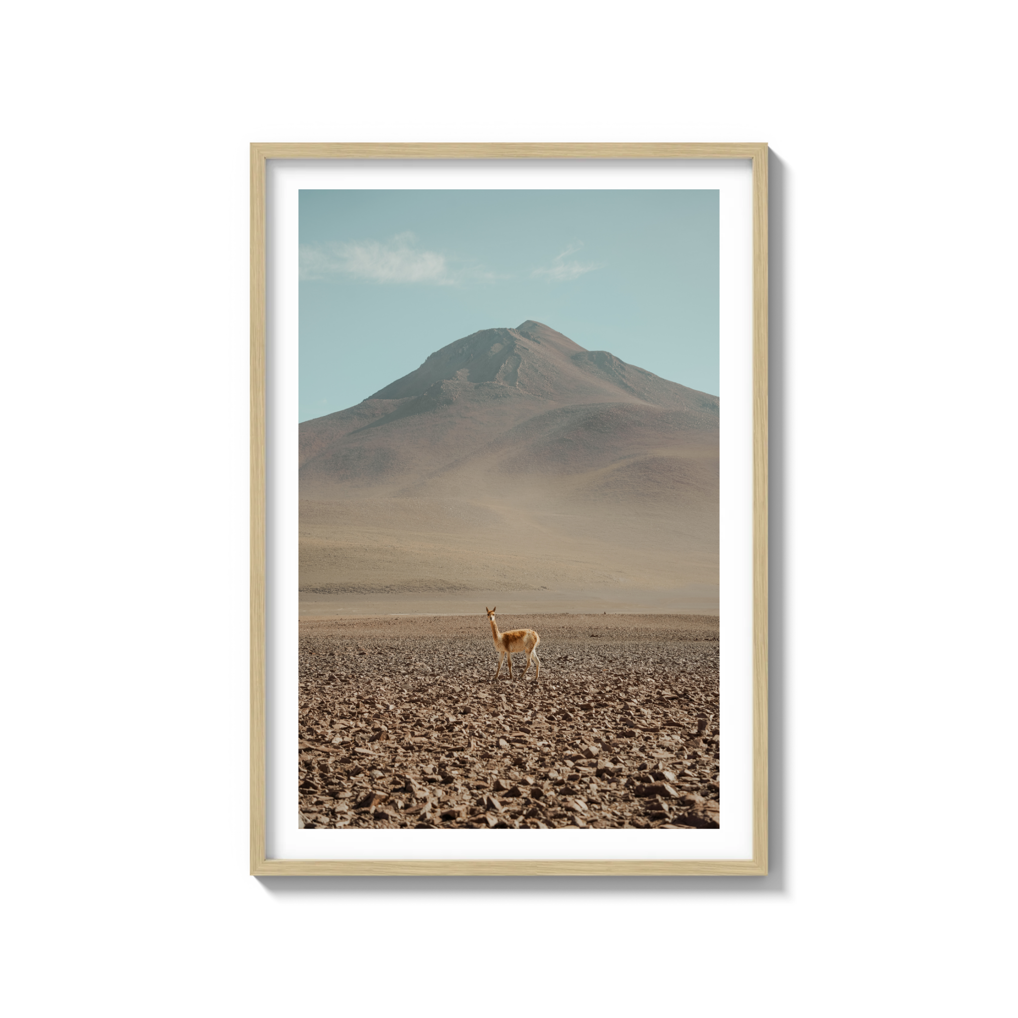 Andes