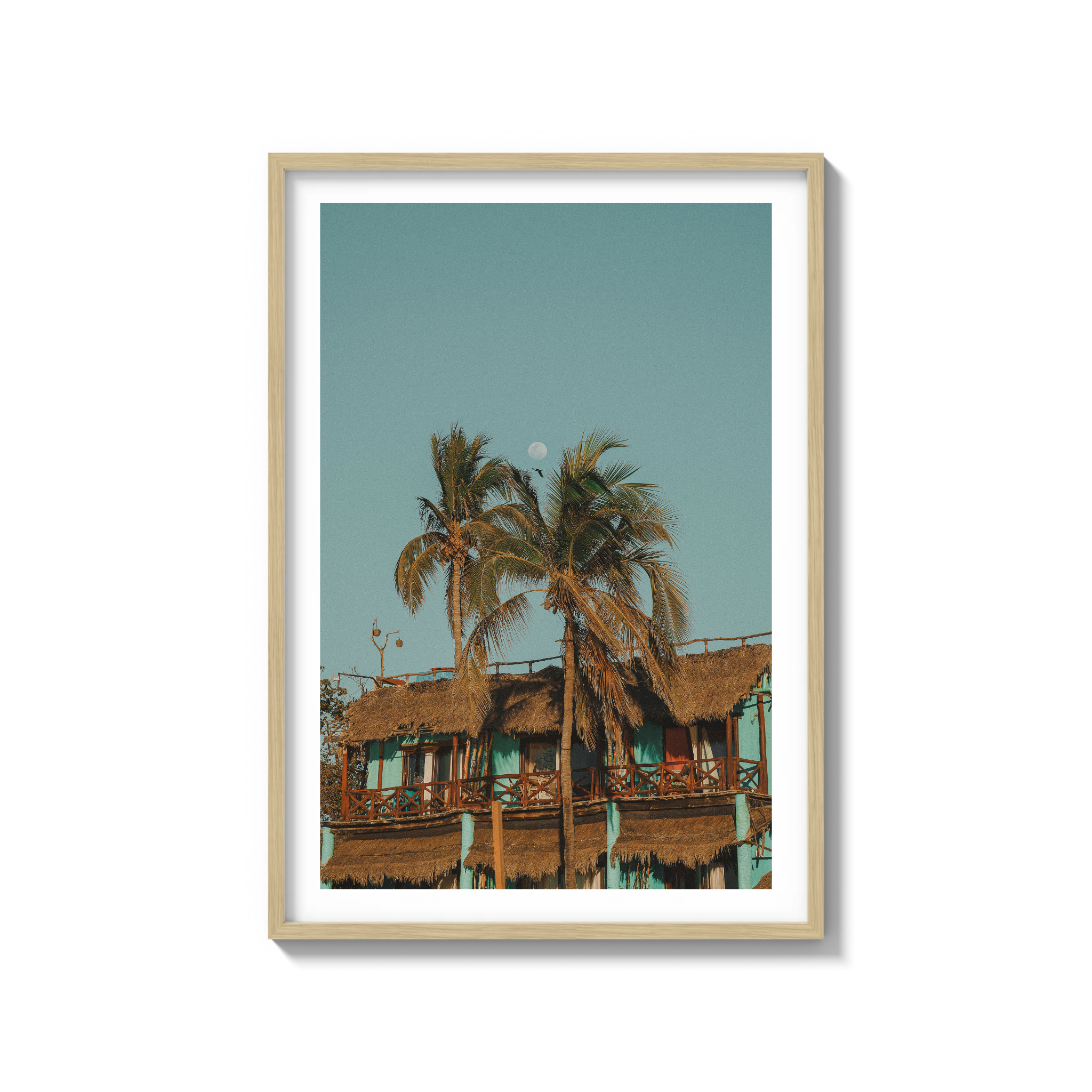 Palapa