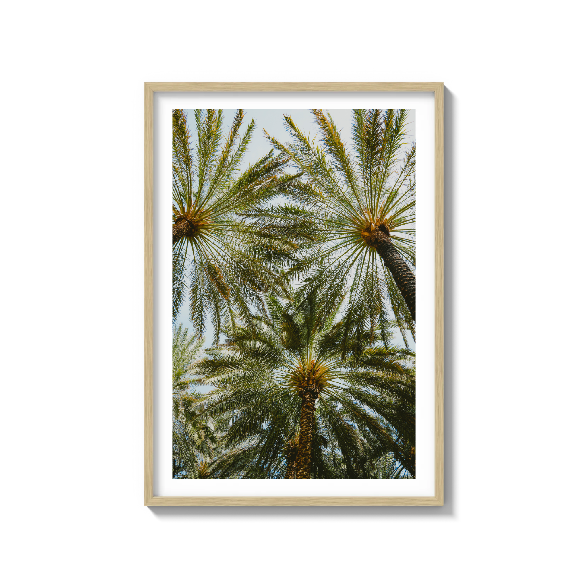 Book of Palms