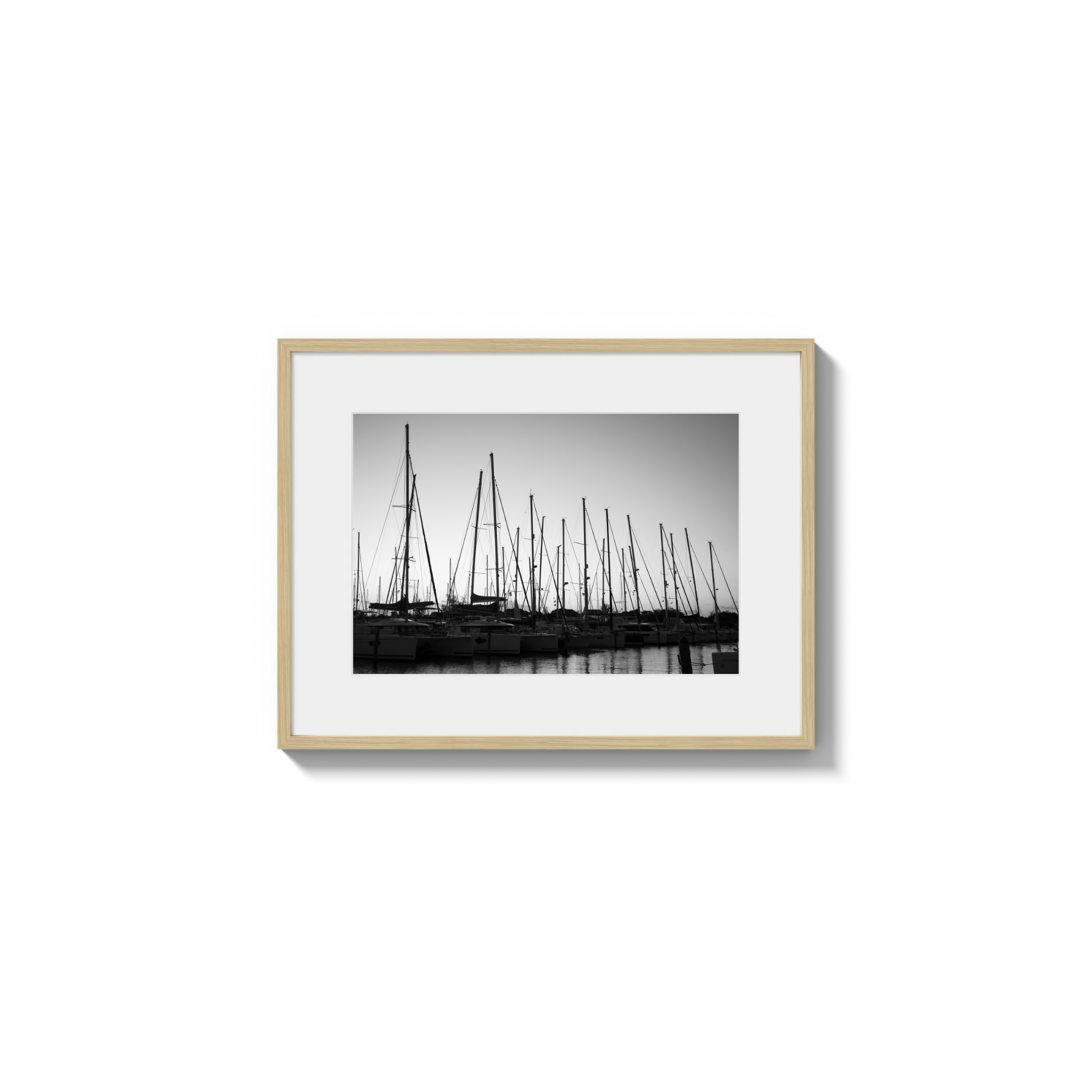 Forest of Masts