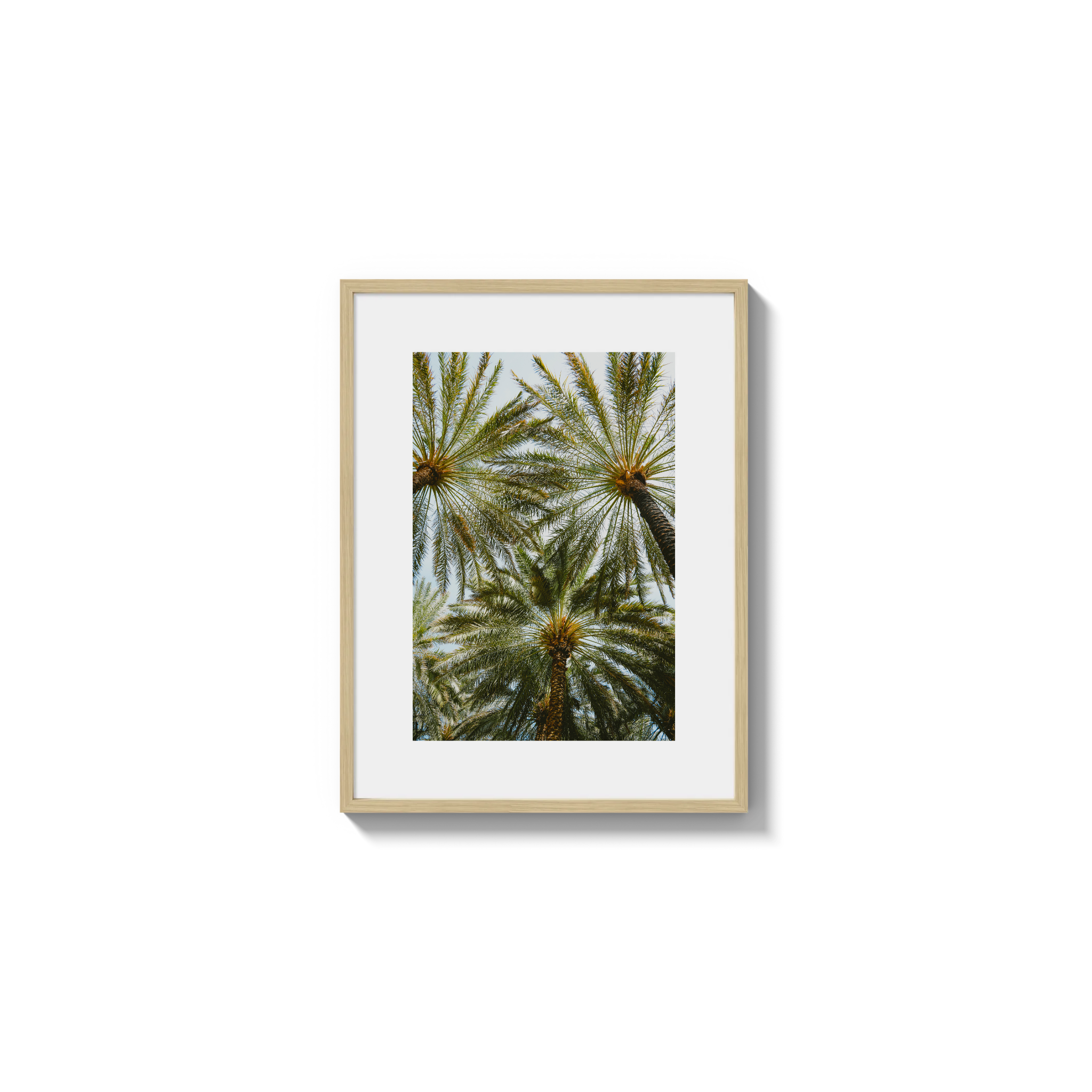 Book of Palms