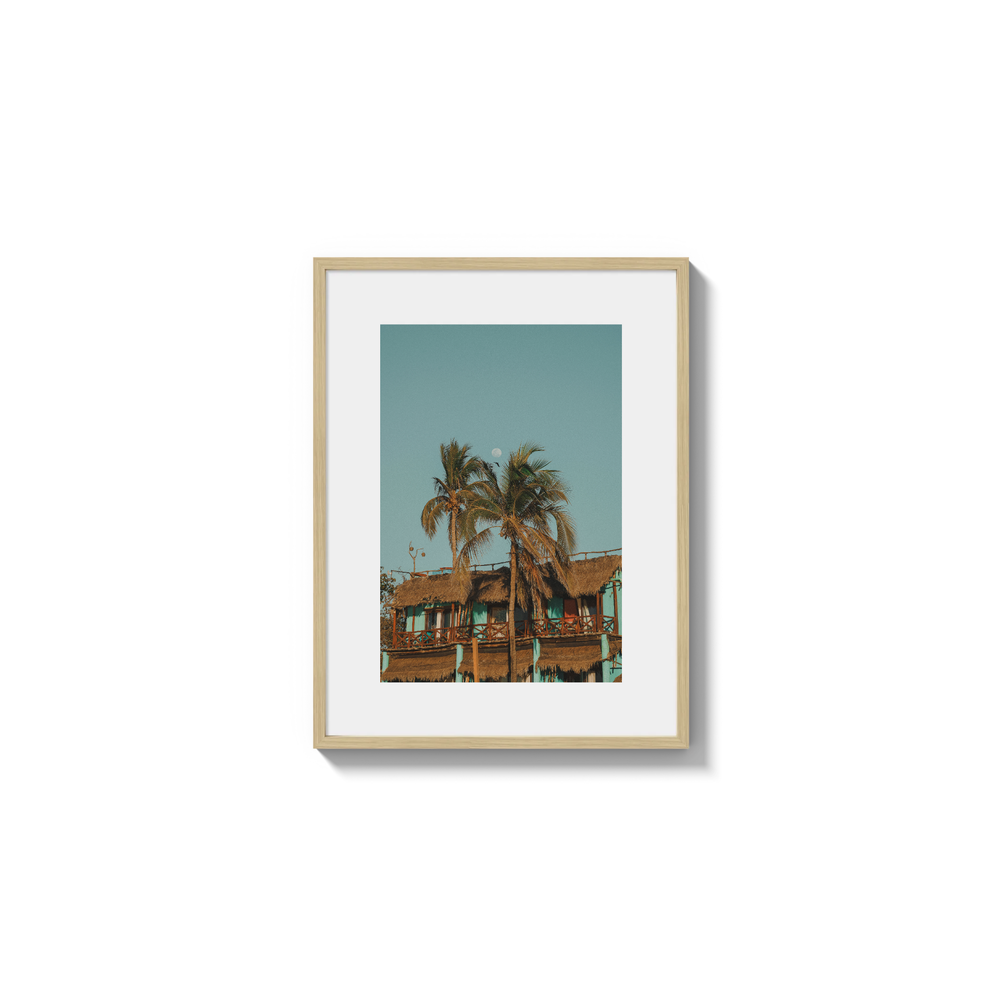 Palapa