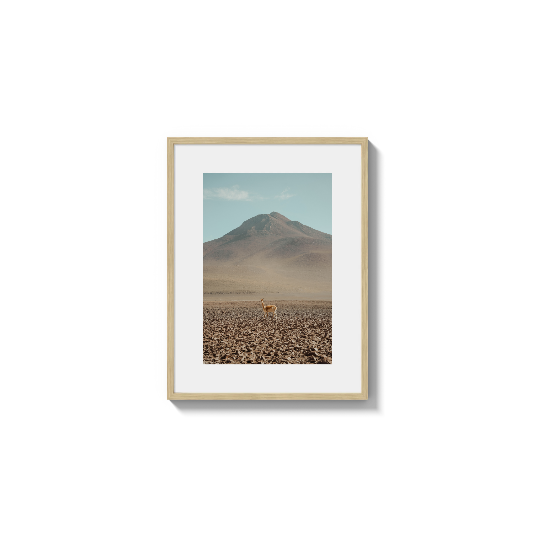 Andes