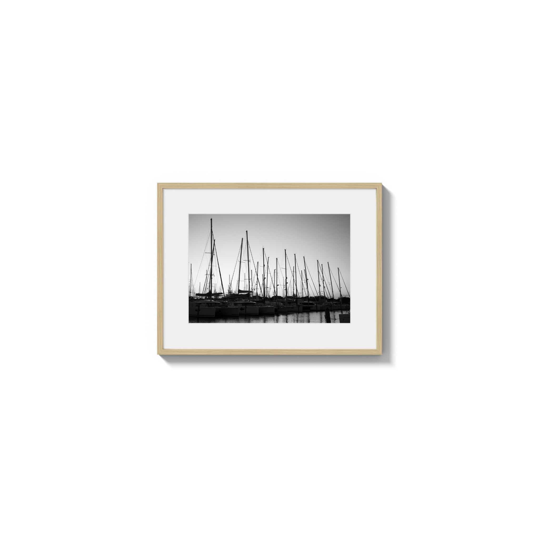 Forest of Masts