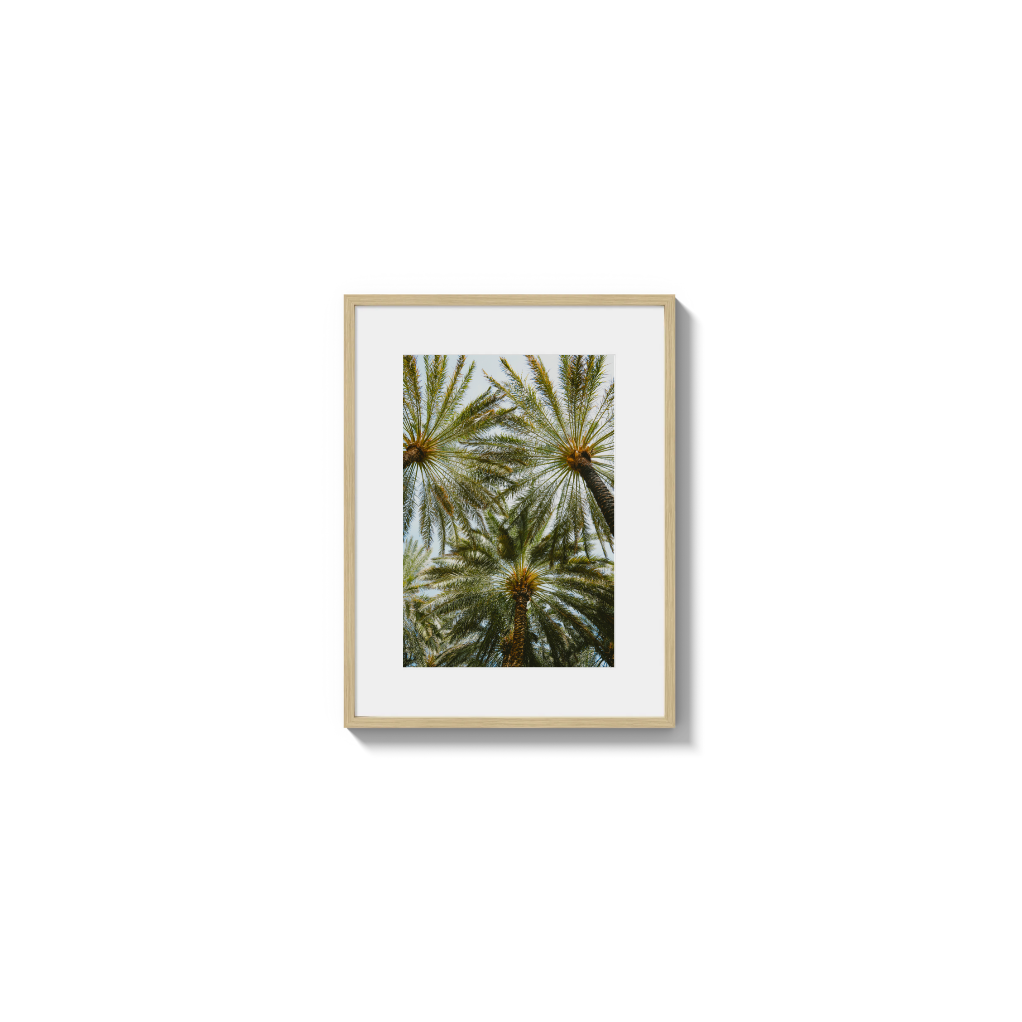 Book of Palms