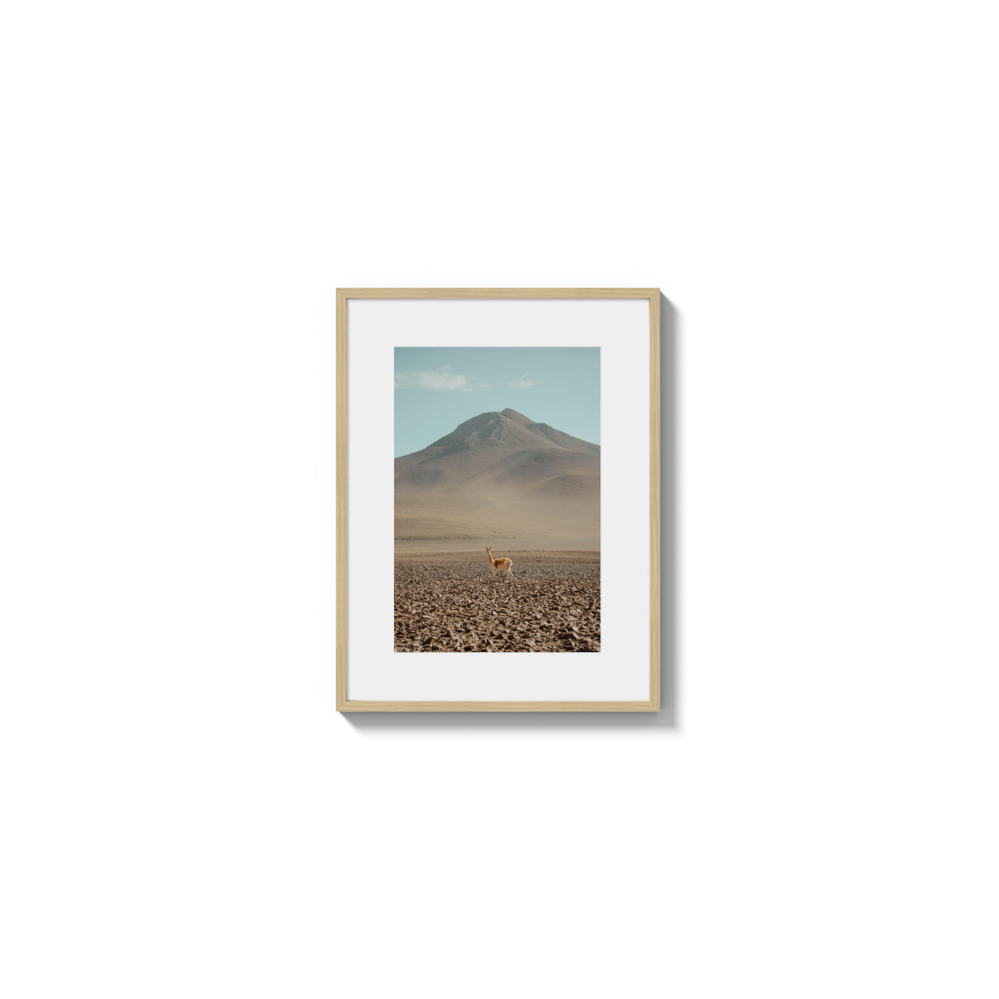 Andes
