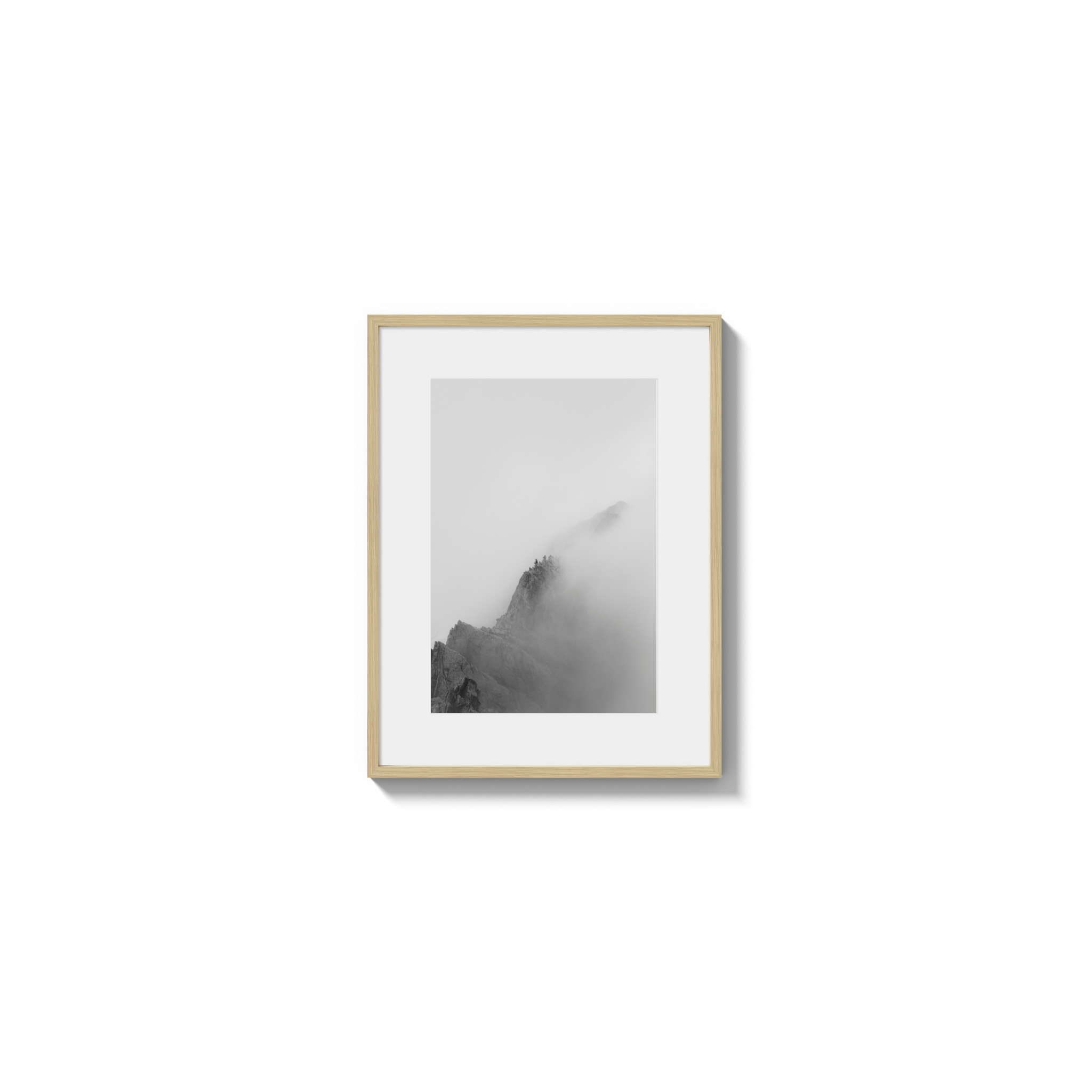 Low Viz