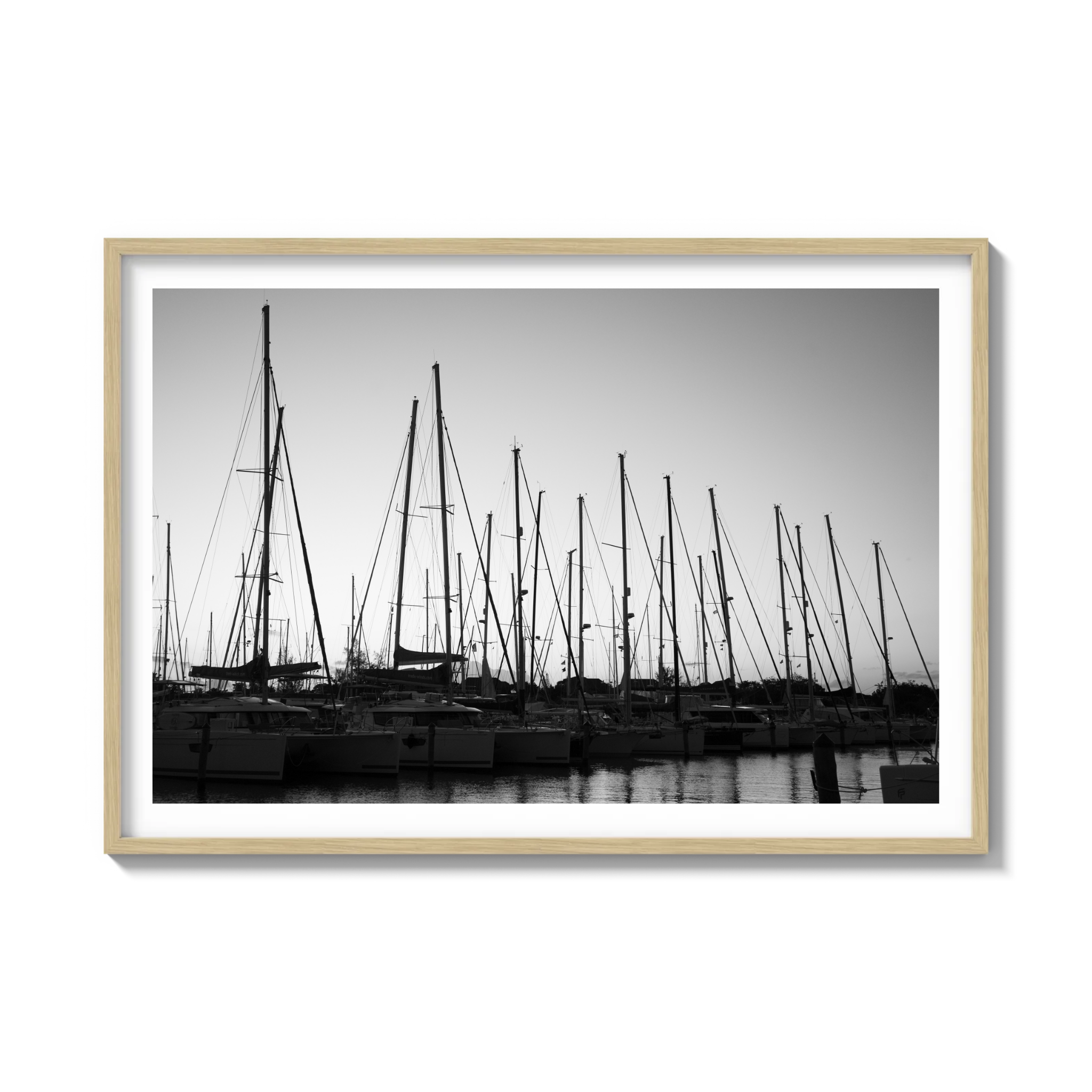 Forest of Masts