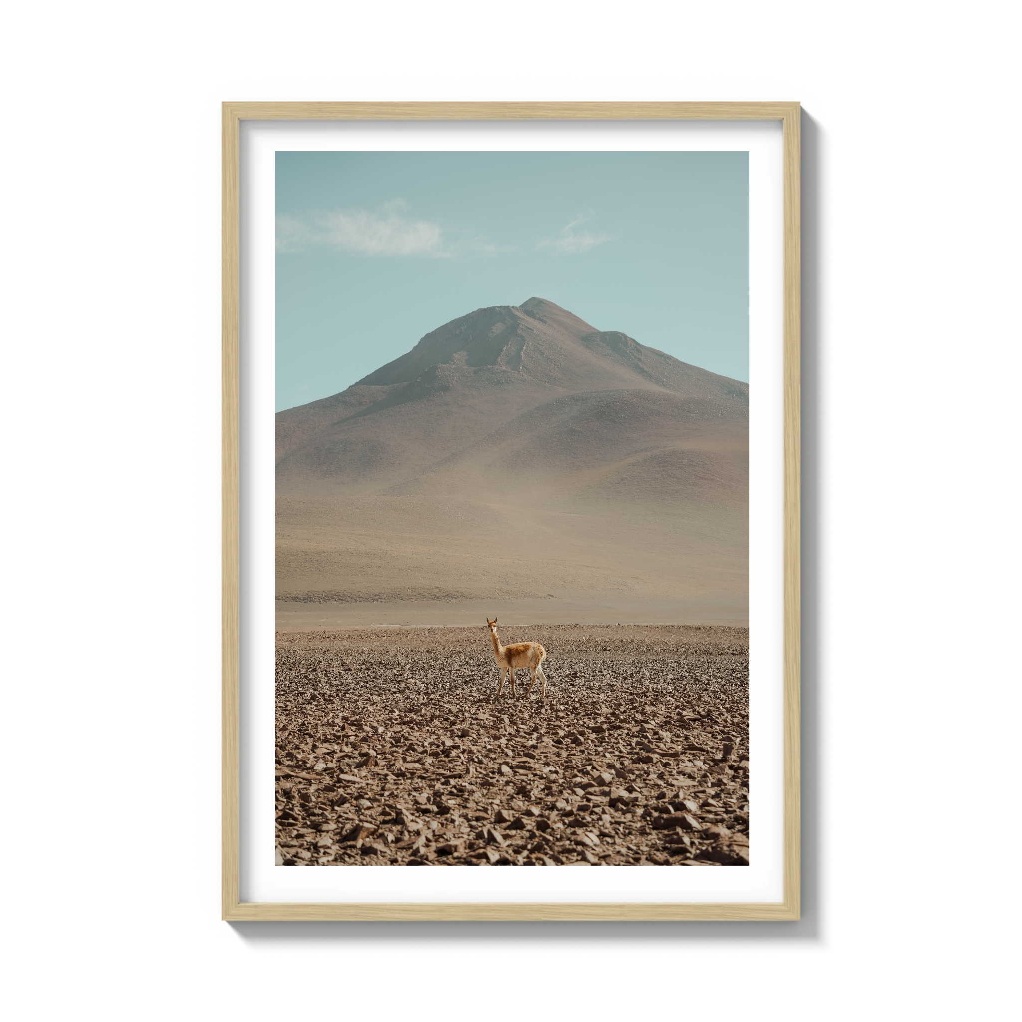 Andes