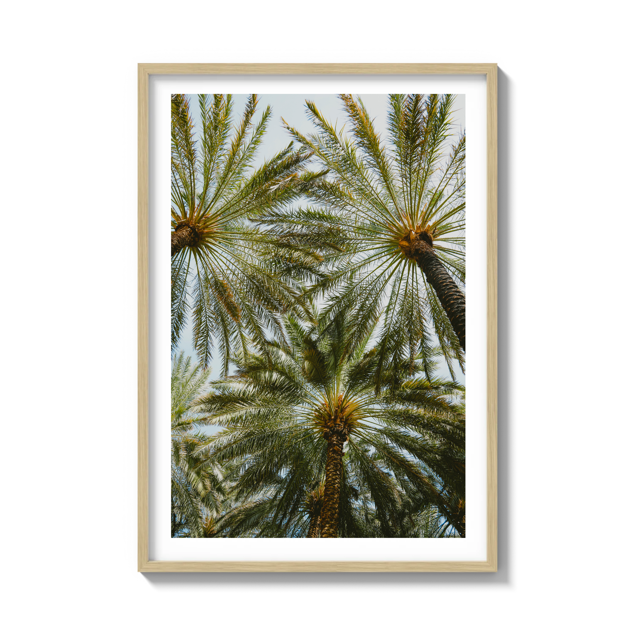 Book of Palms