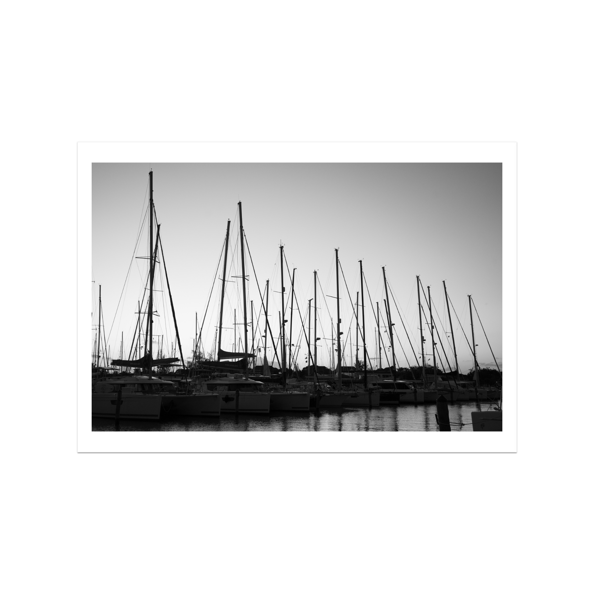 Forest of Masts