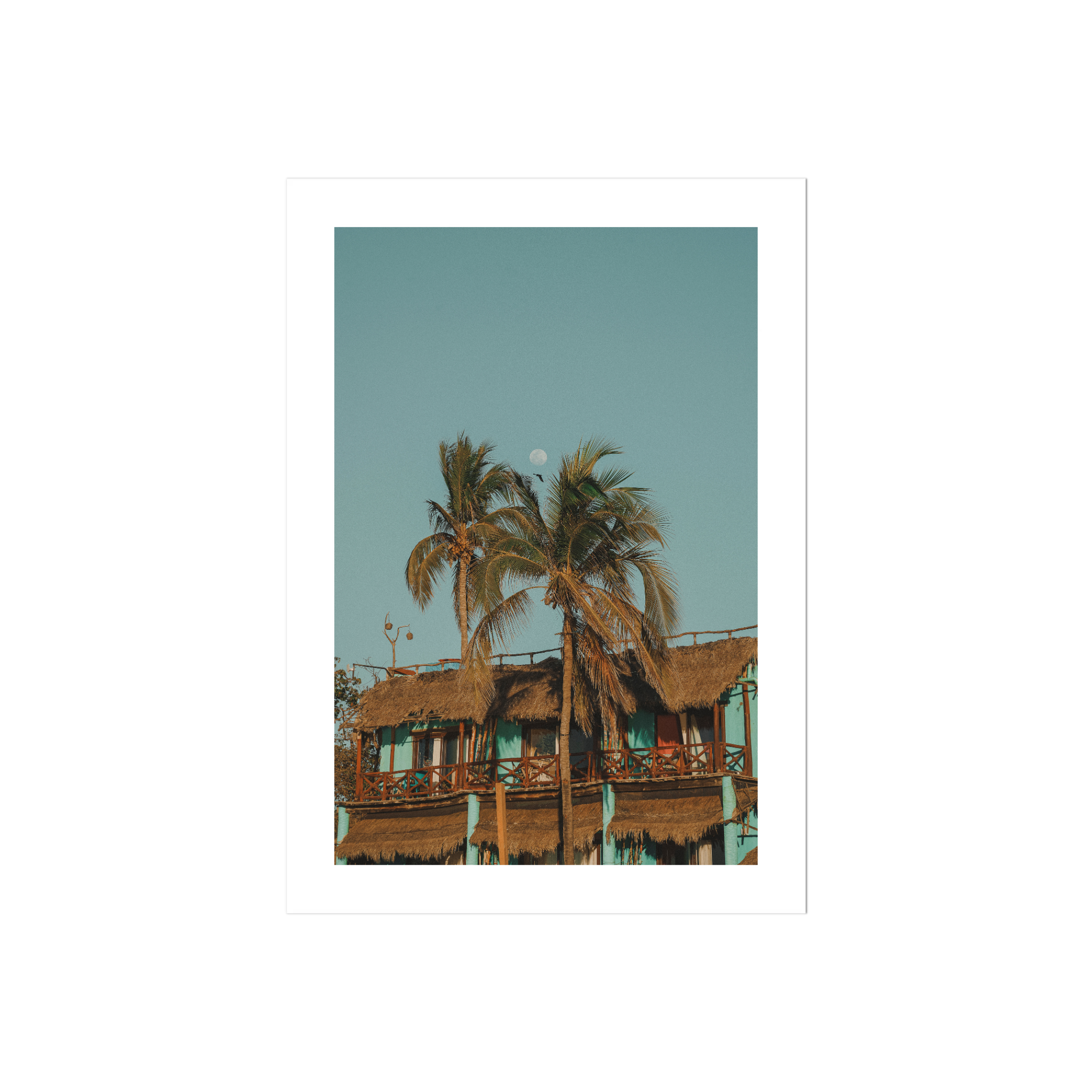 Palapa