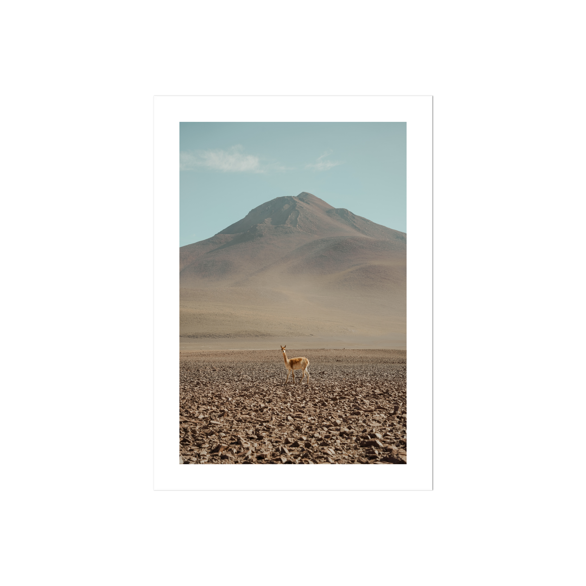 Andes