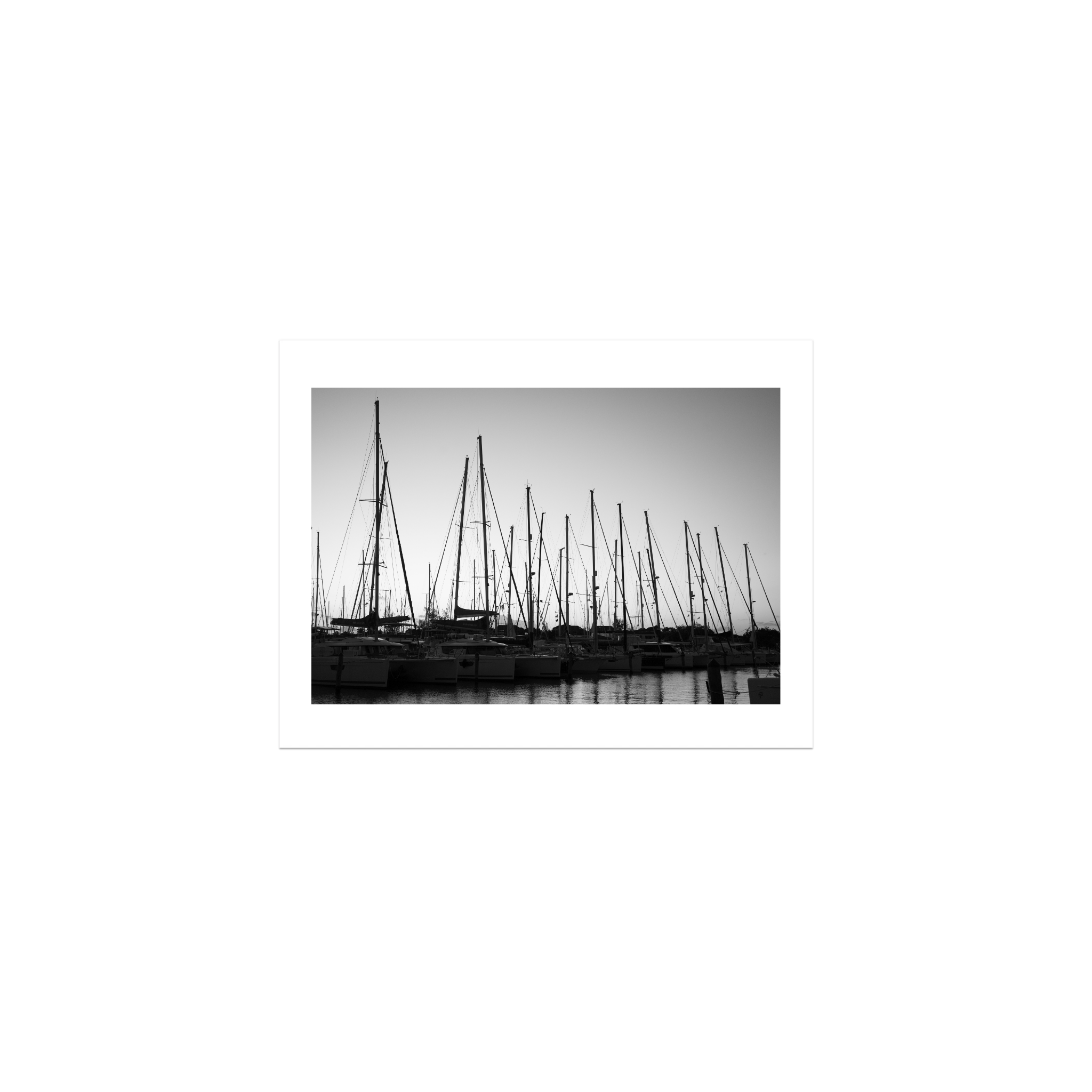 Forest of Masts