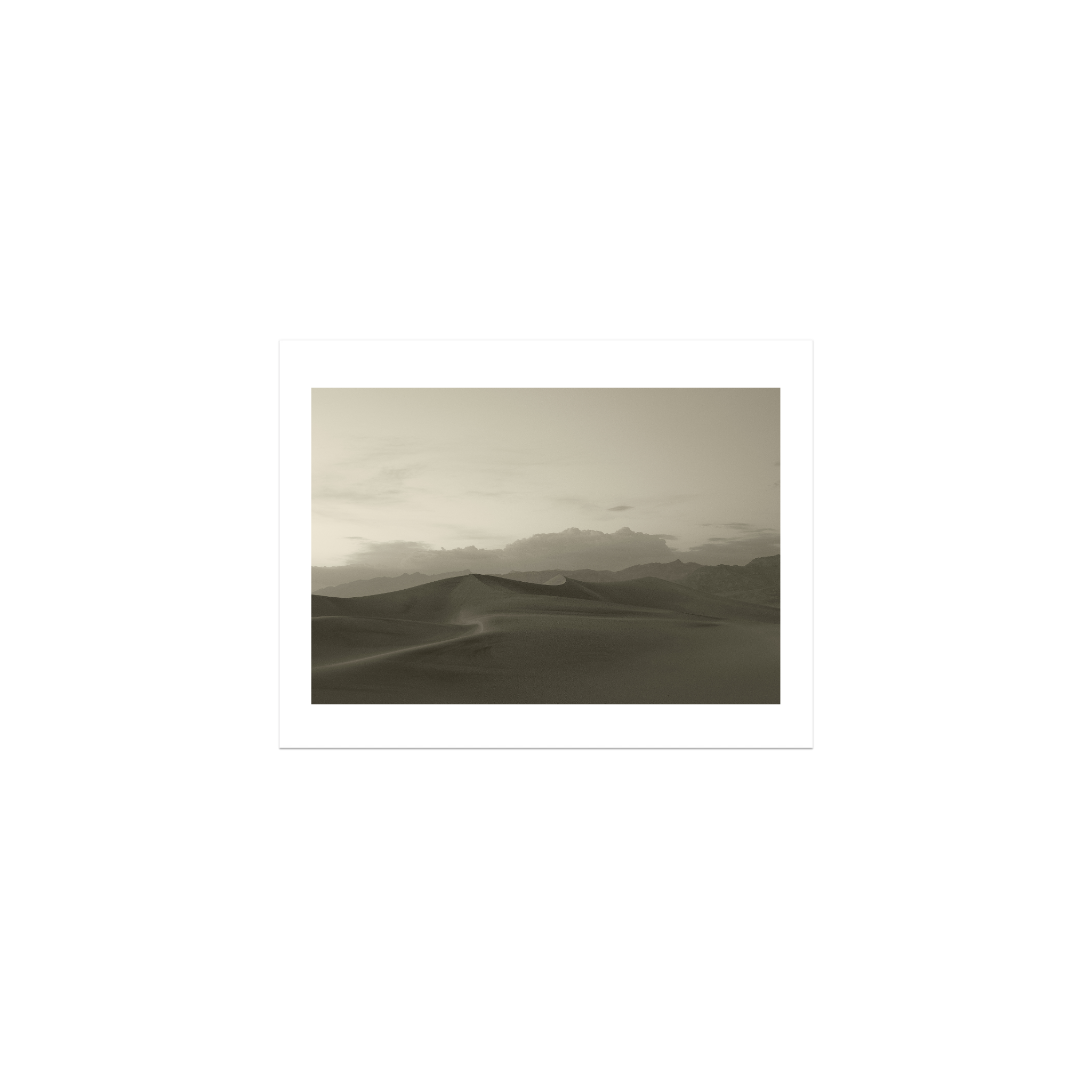 Rolling Dunes