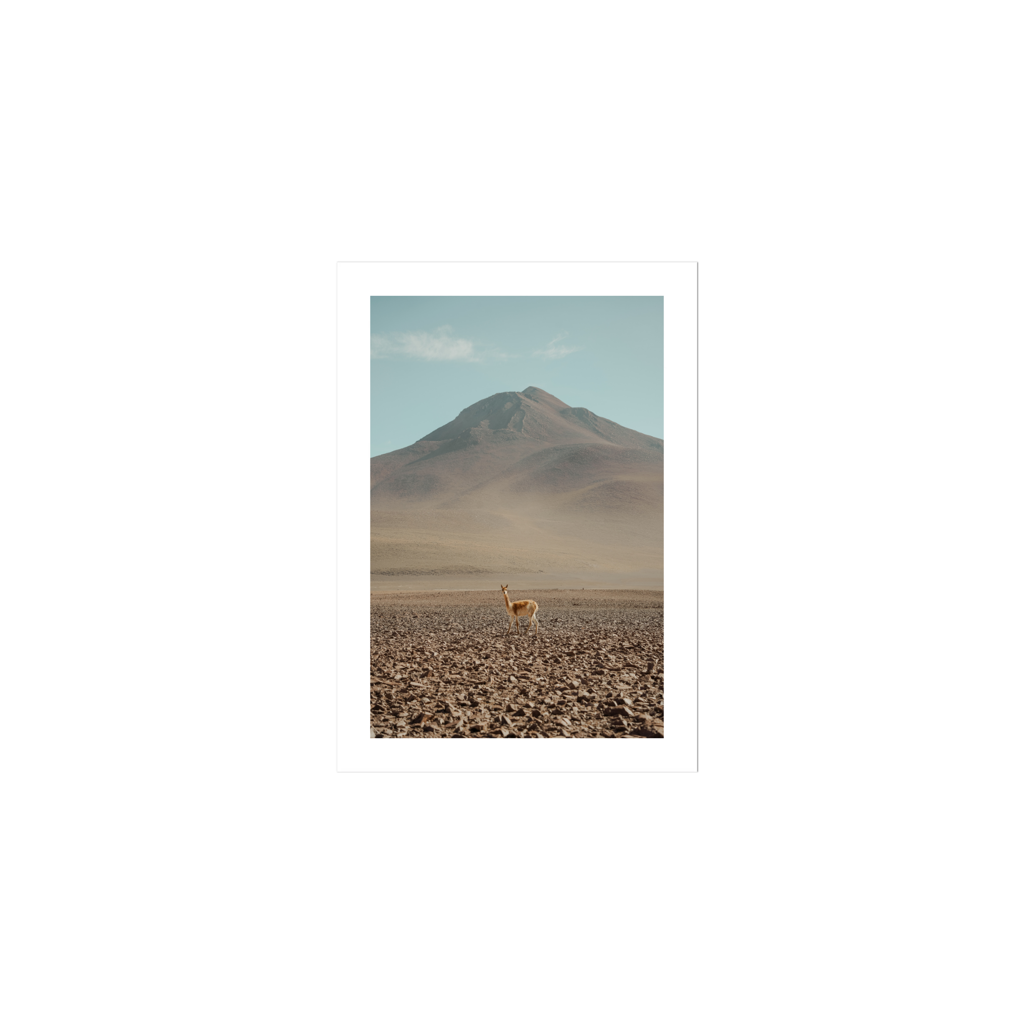 Andes