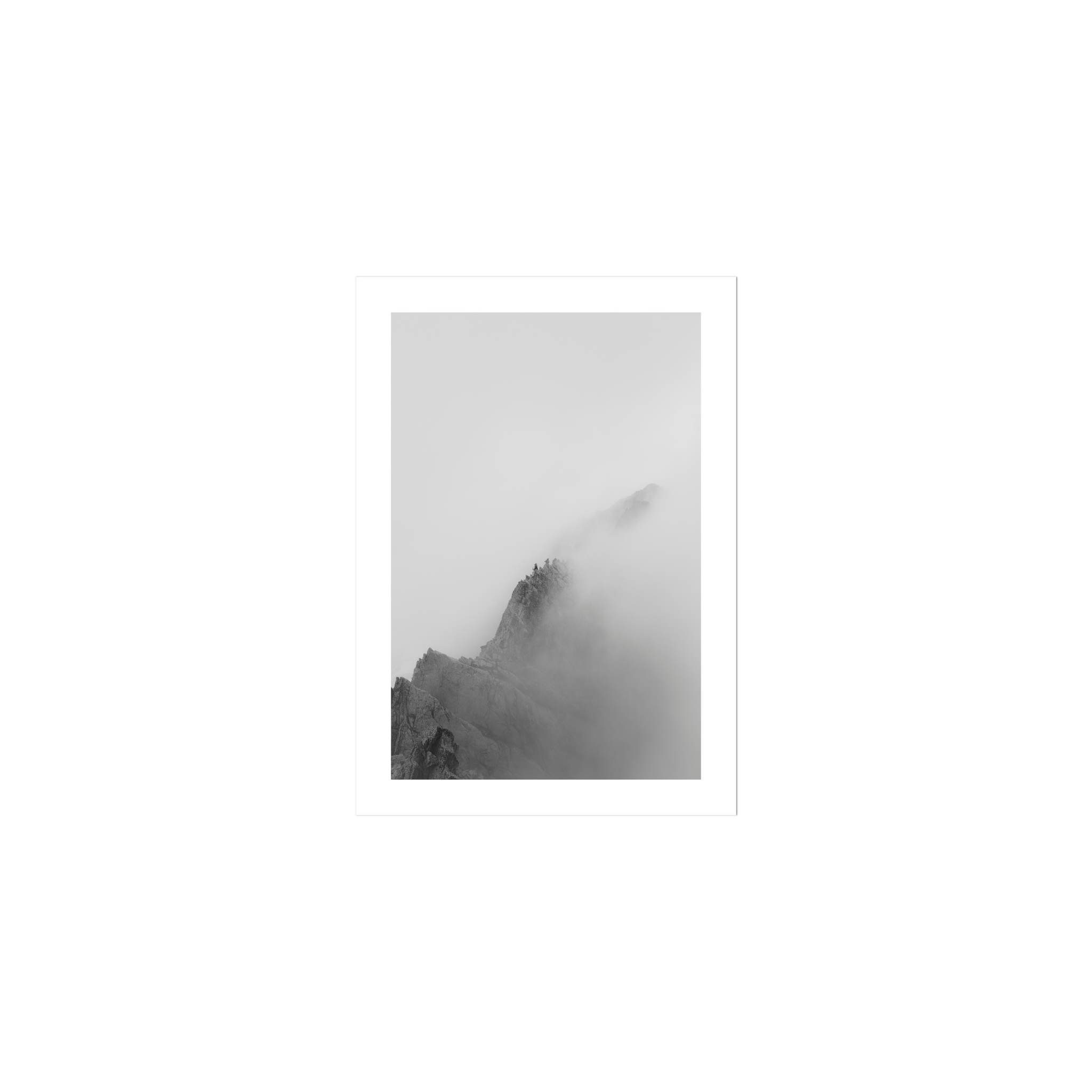 Low Viz