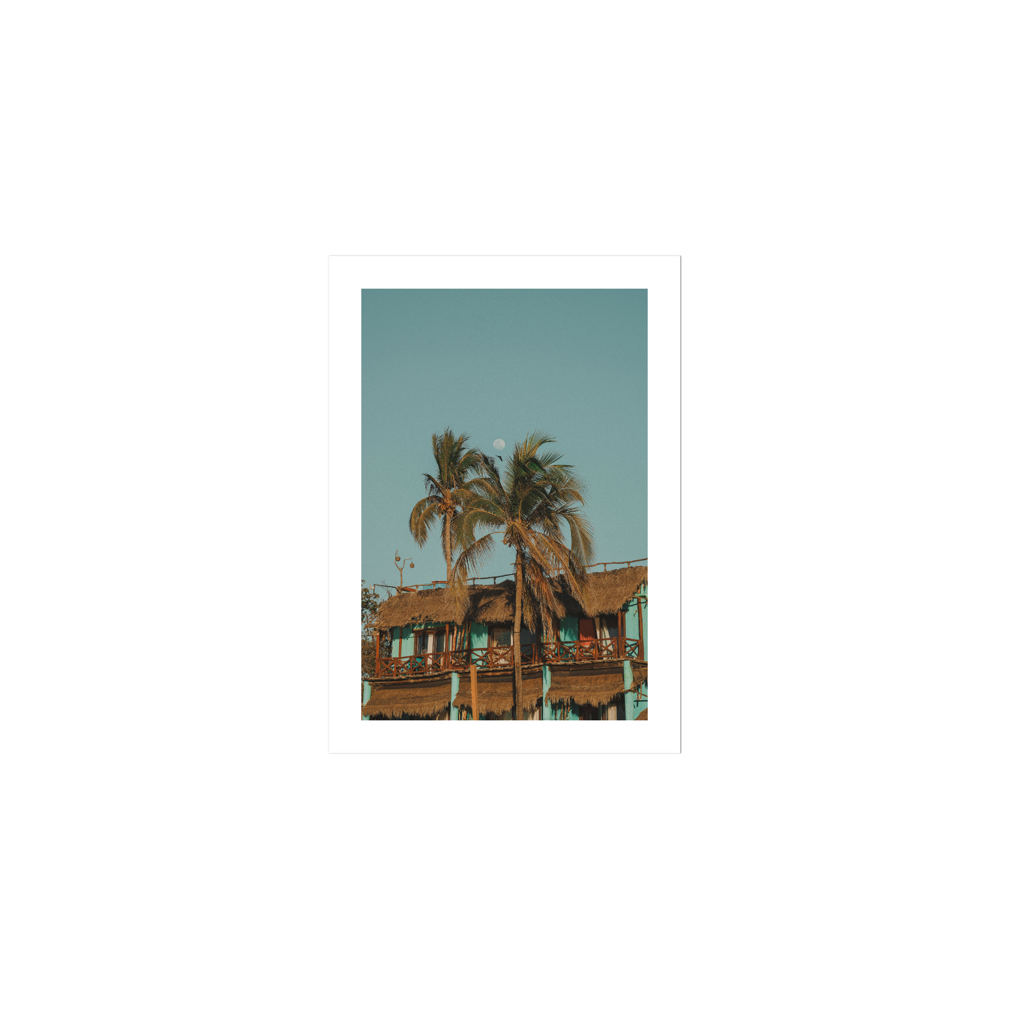 Palapa
