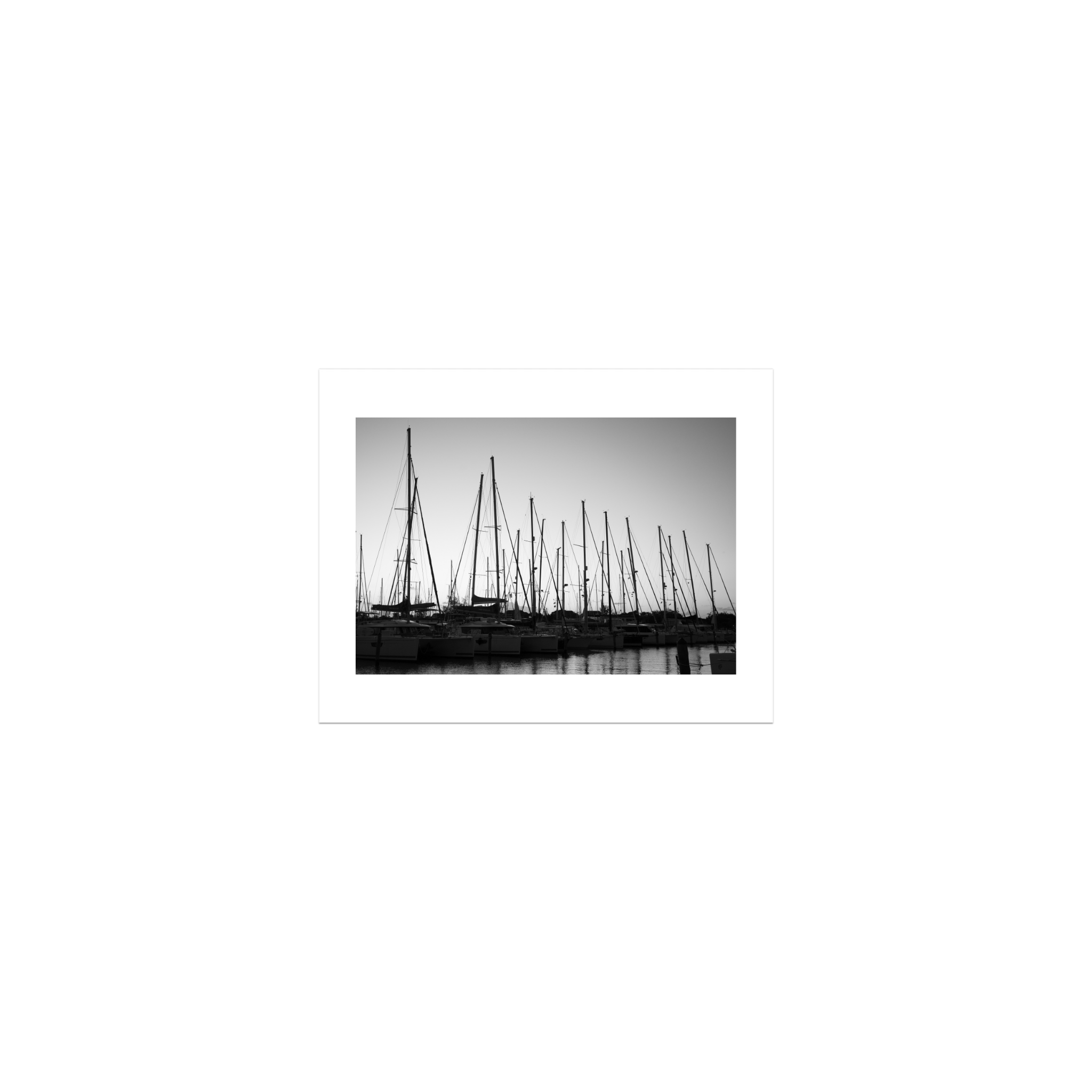 Forest of Masts