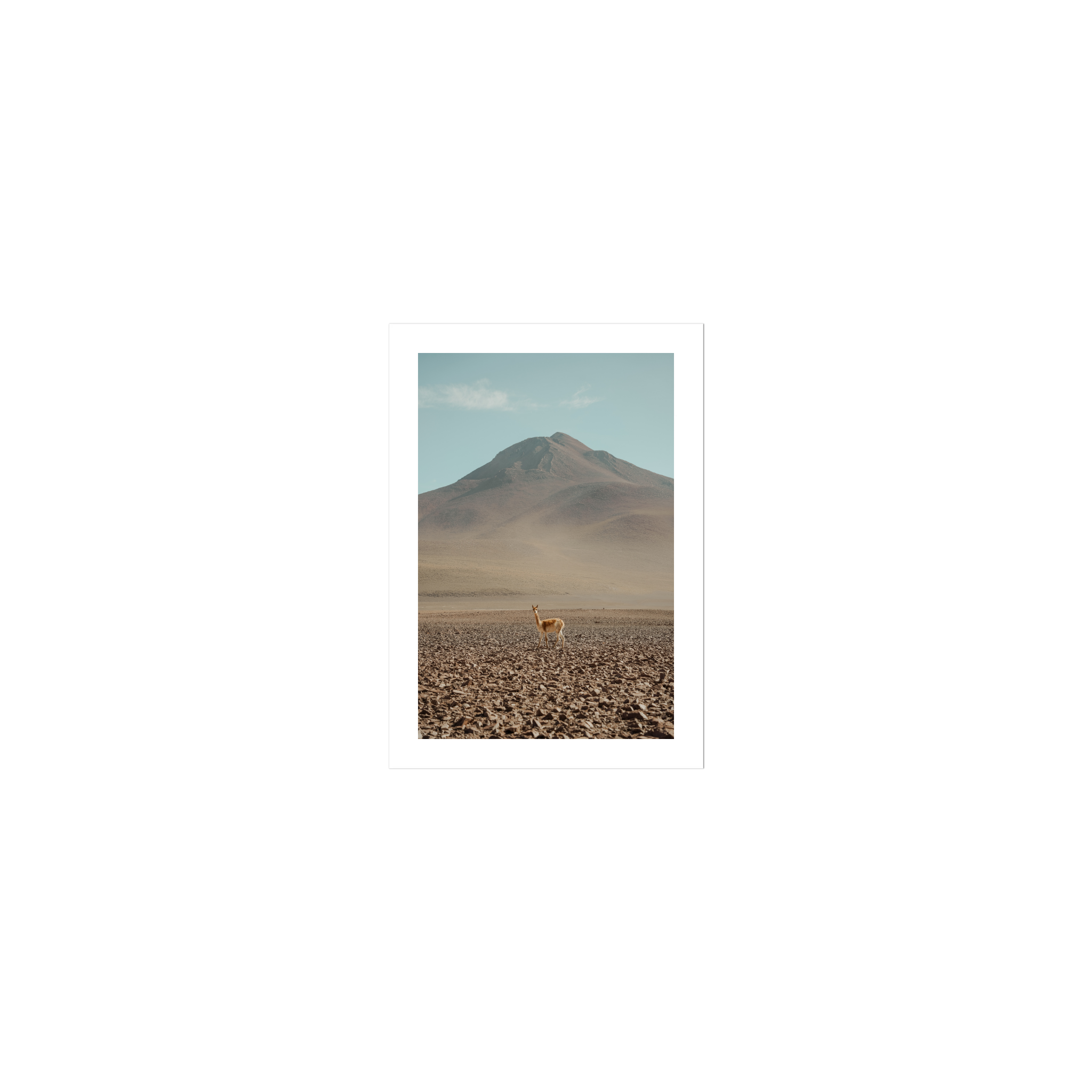 Andes