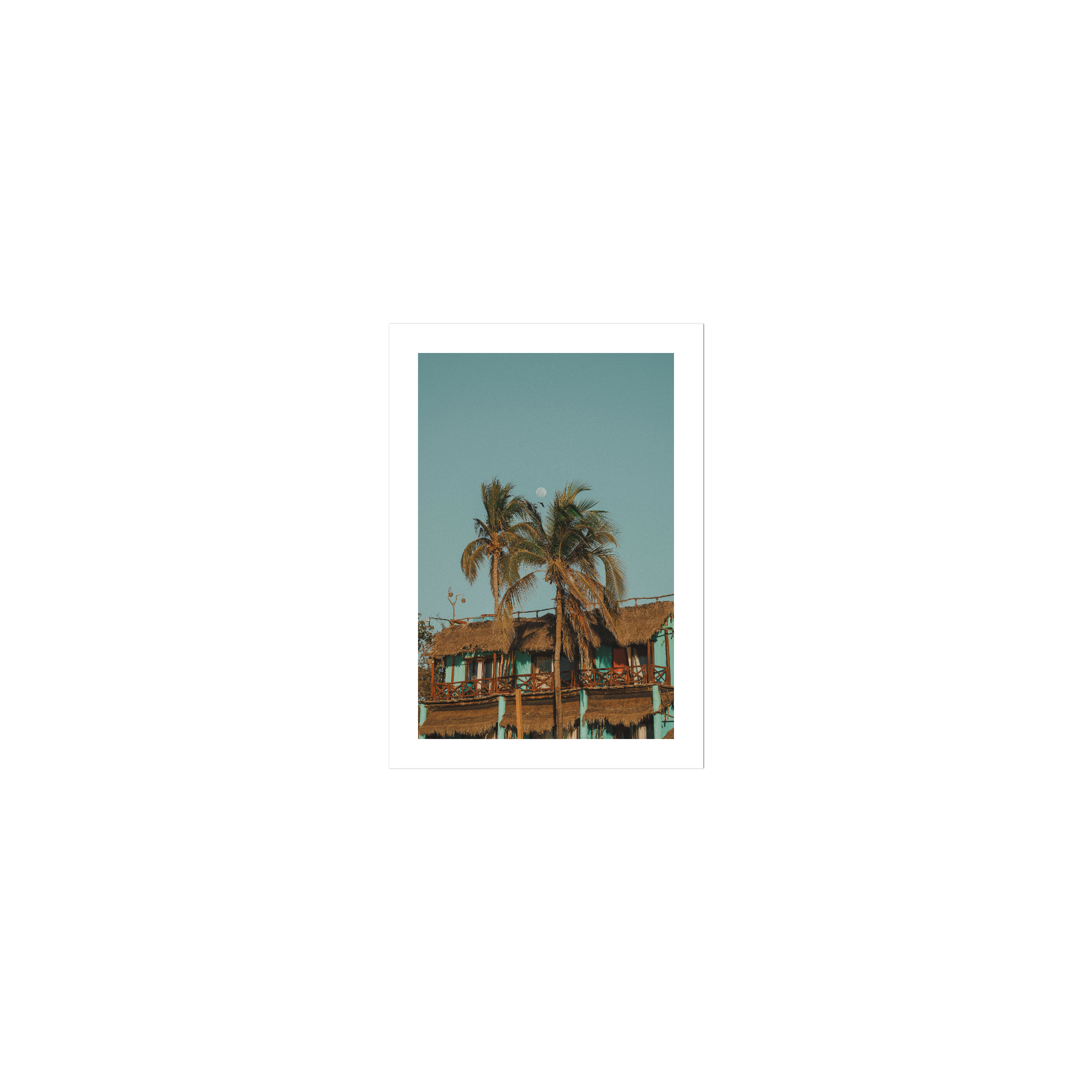 Palapa