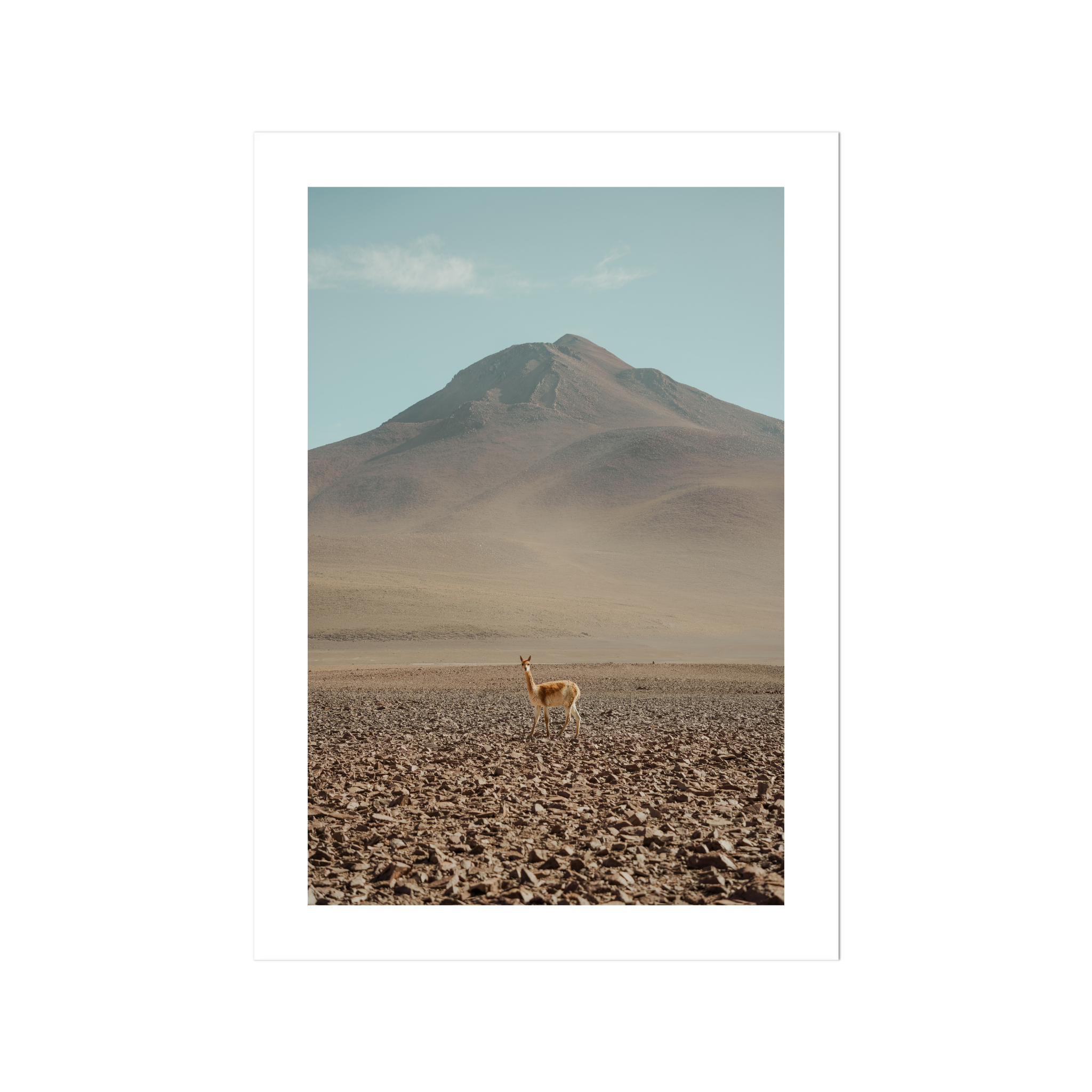 Andes