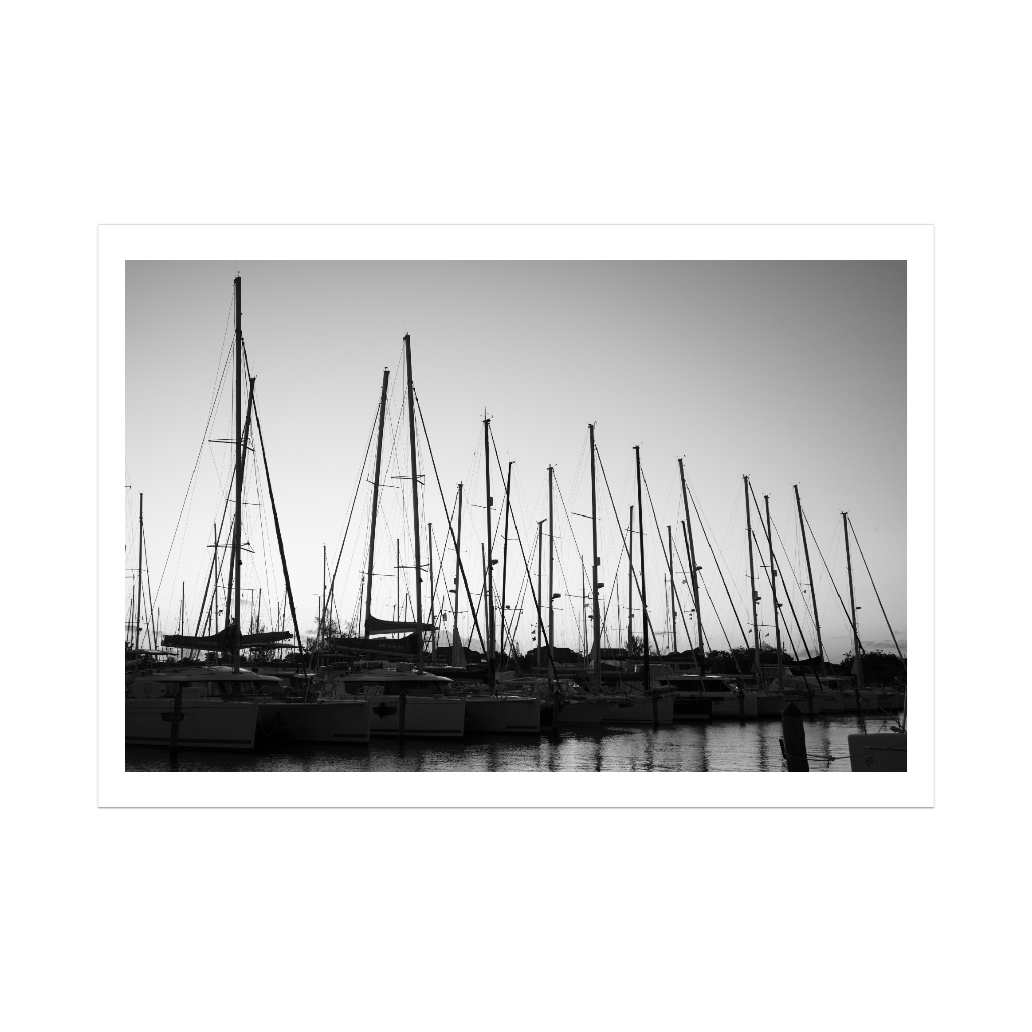 Forest of Masts