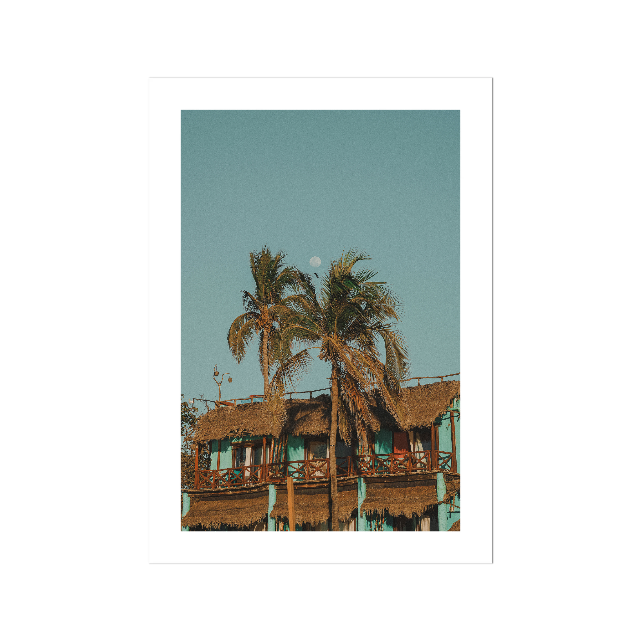 Palapa