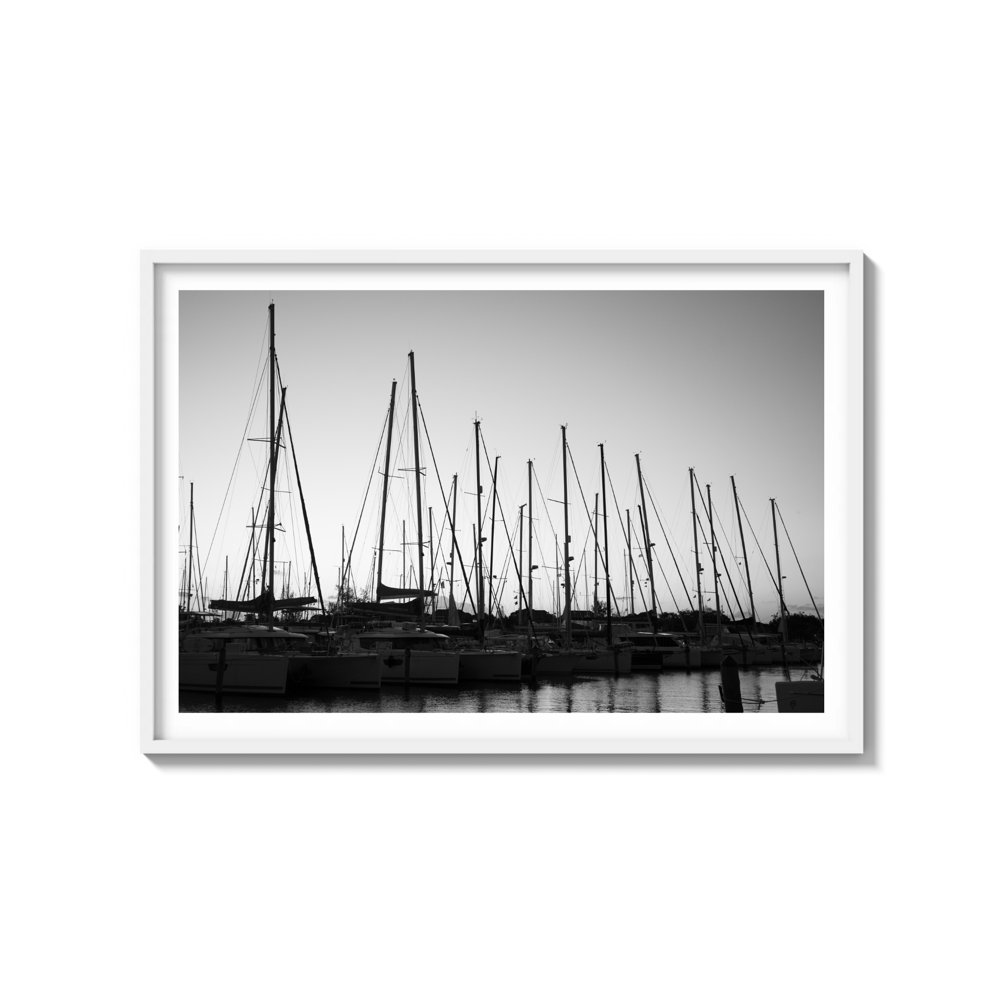 Forest of Masts