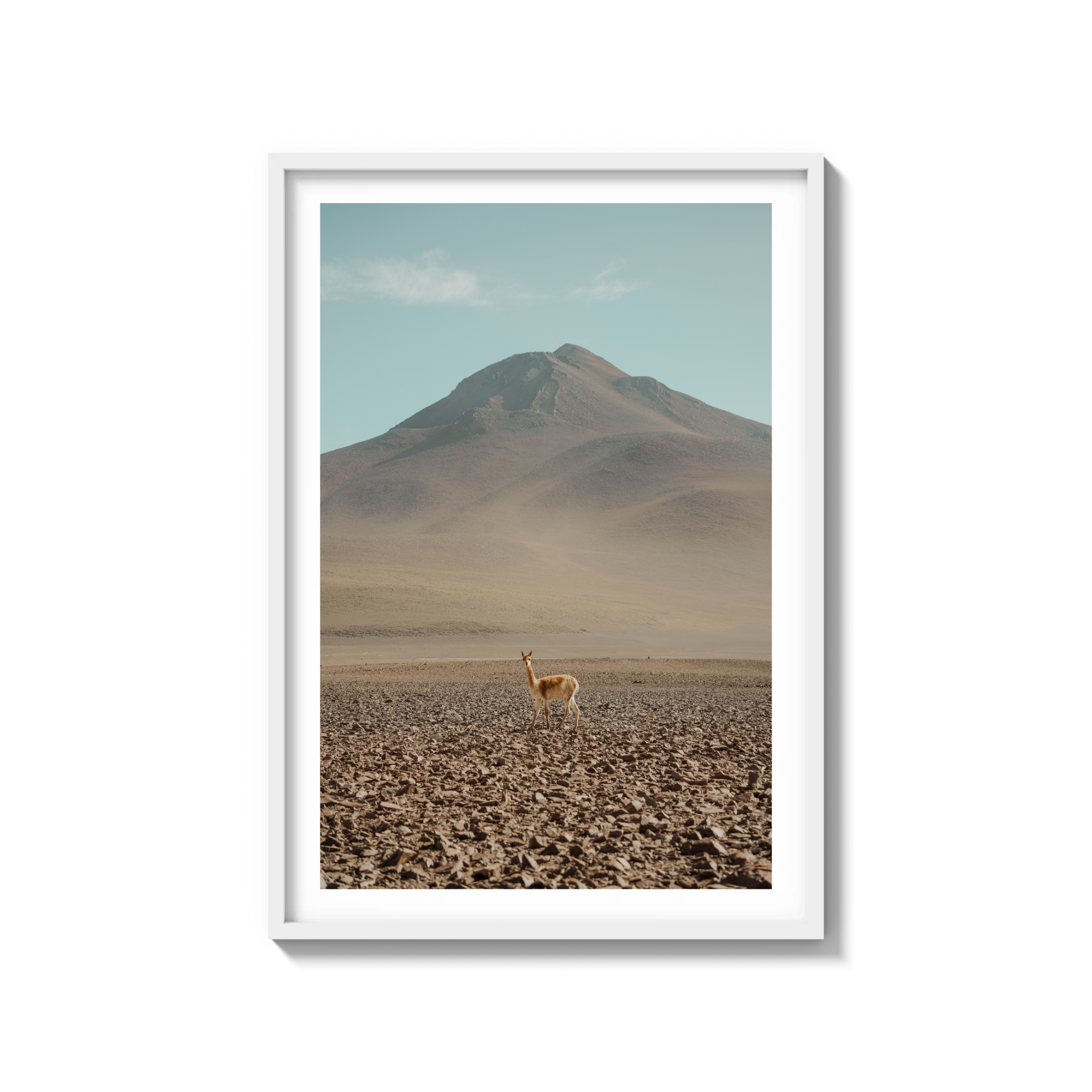 Andes