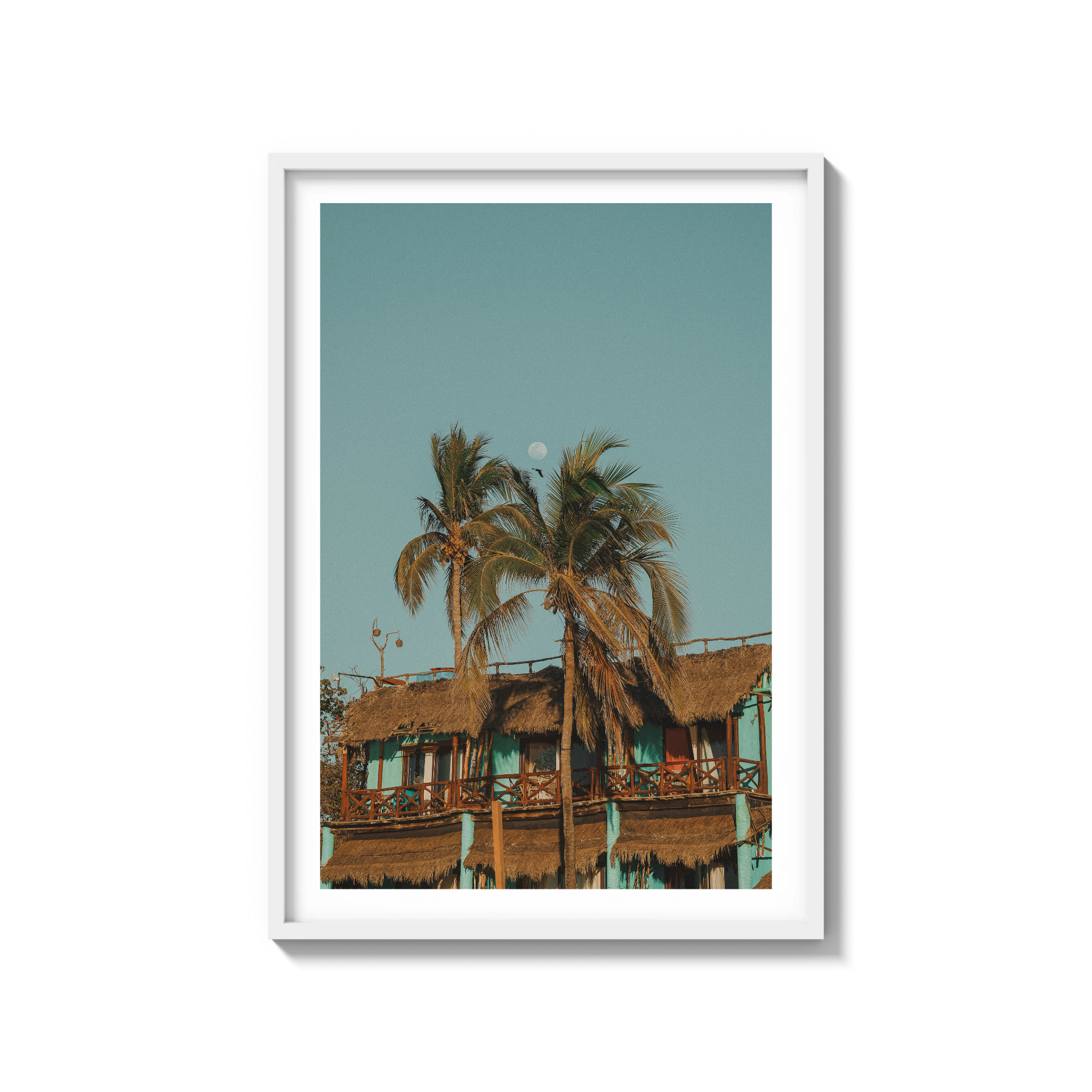 Palapa