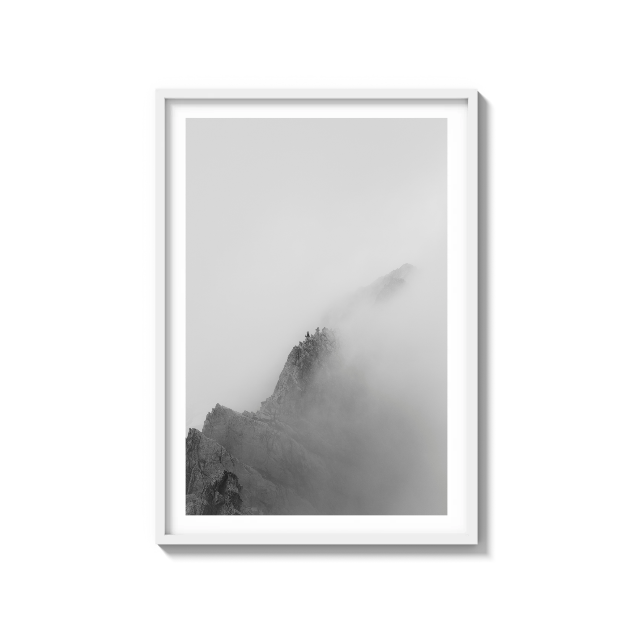 Low Viz
