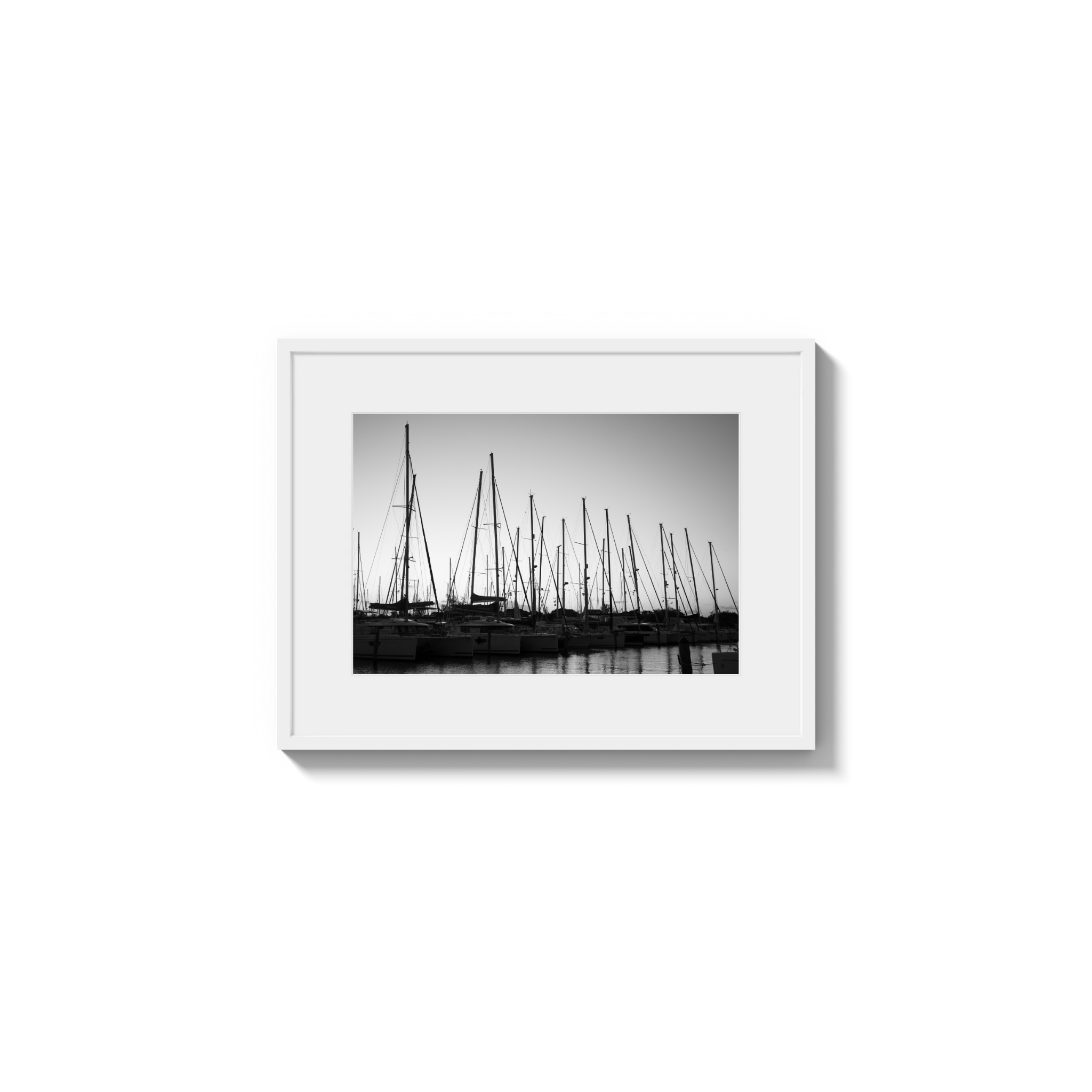 Forest of Masts