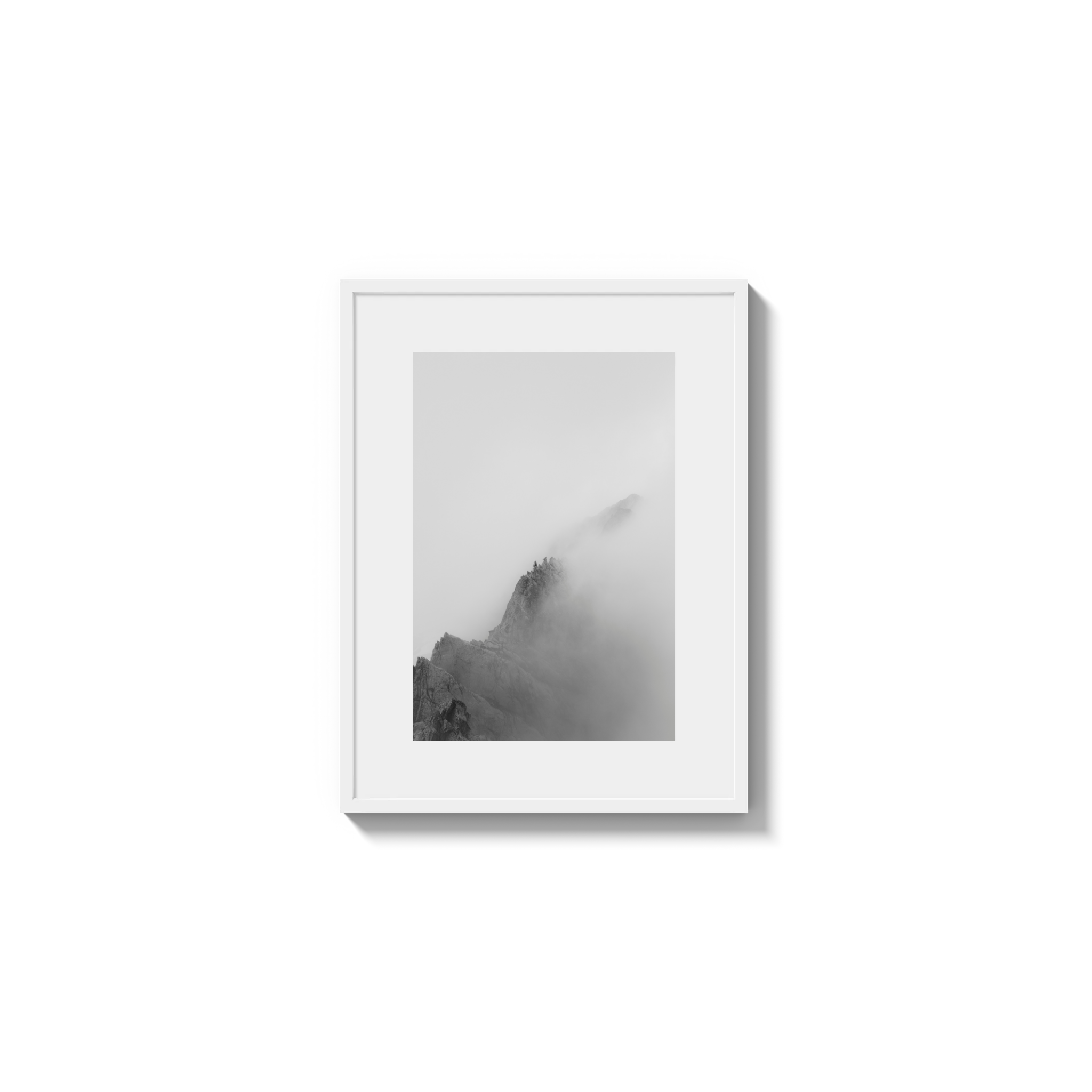 Low Viz